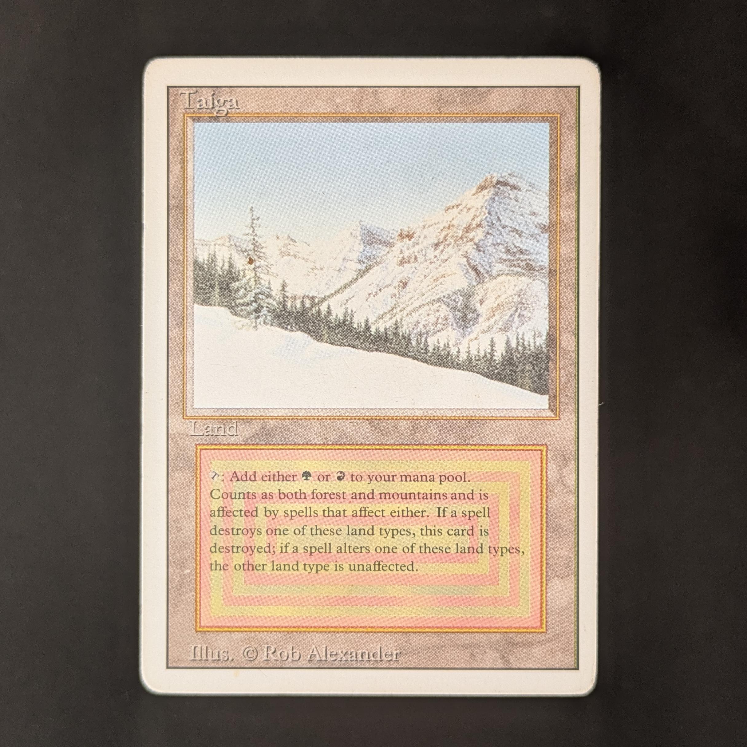 MTG Singles - Taiga - Revised - PL - 32688