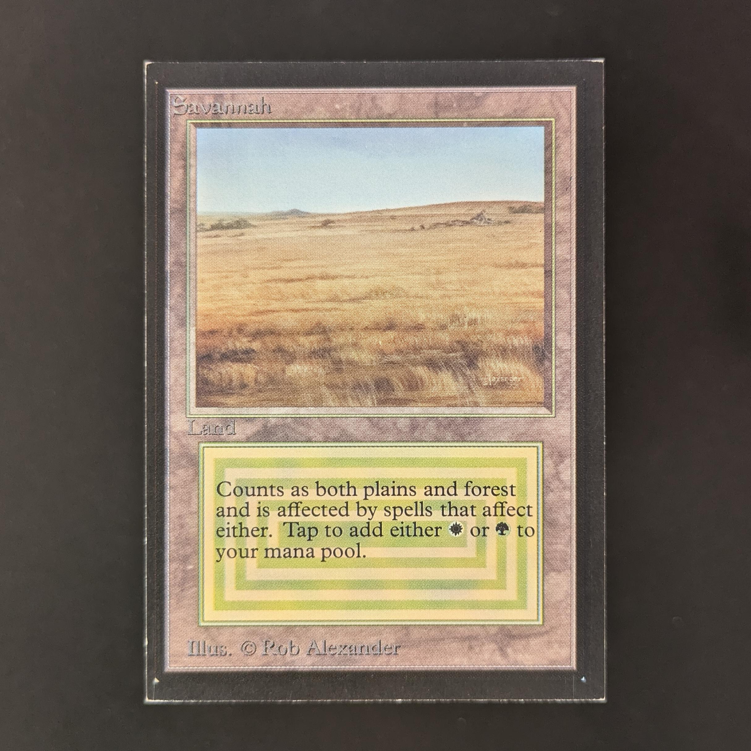 MTG Singles - Savannah - Collectors' Edition - GD - 32785