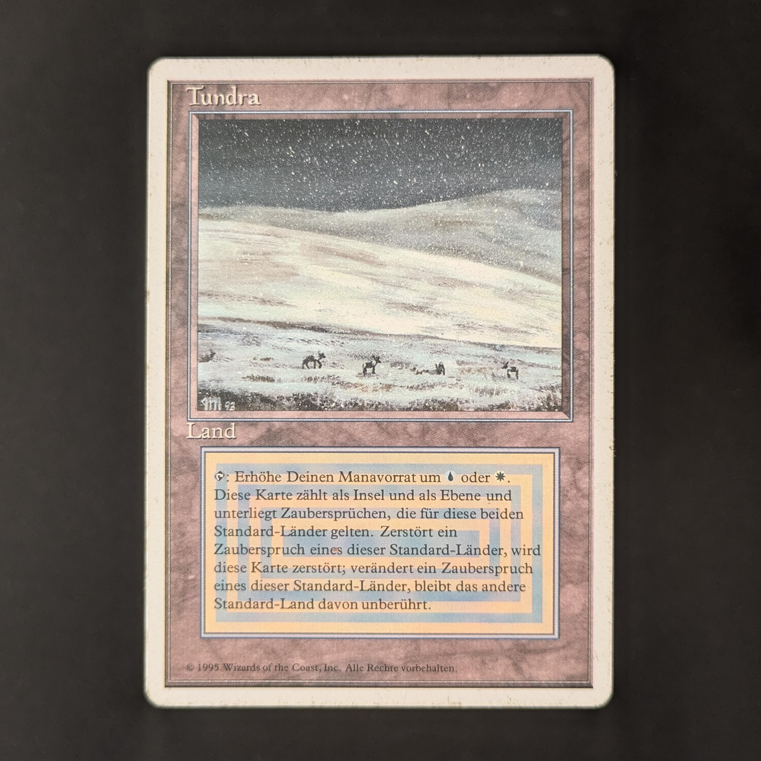 MTG Singles - Tundra - Foreign White Bordered - German - PL - 32833