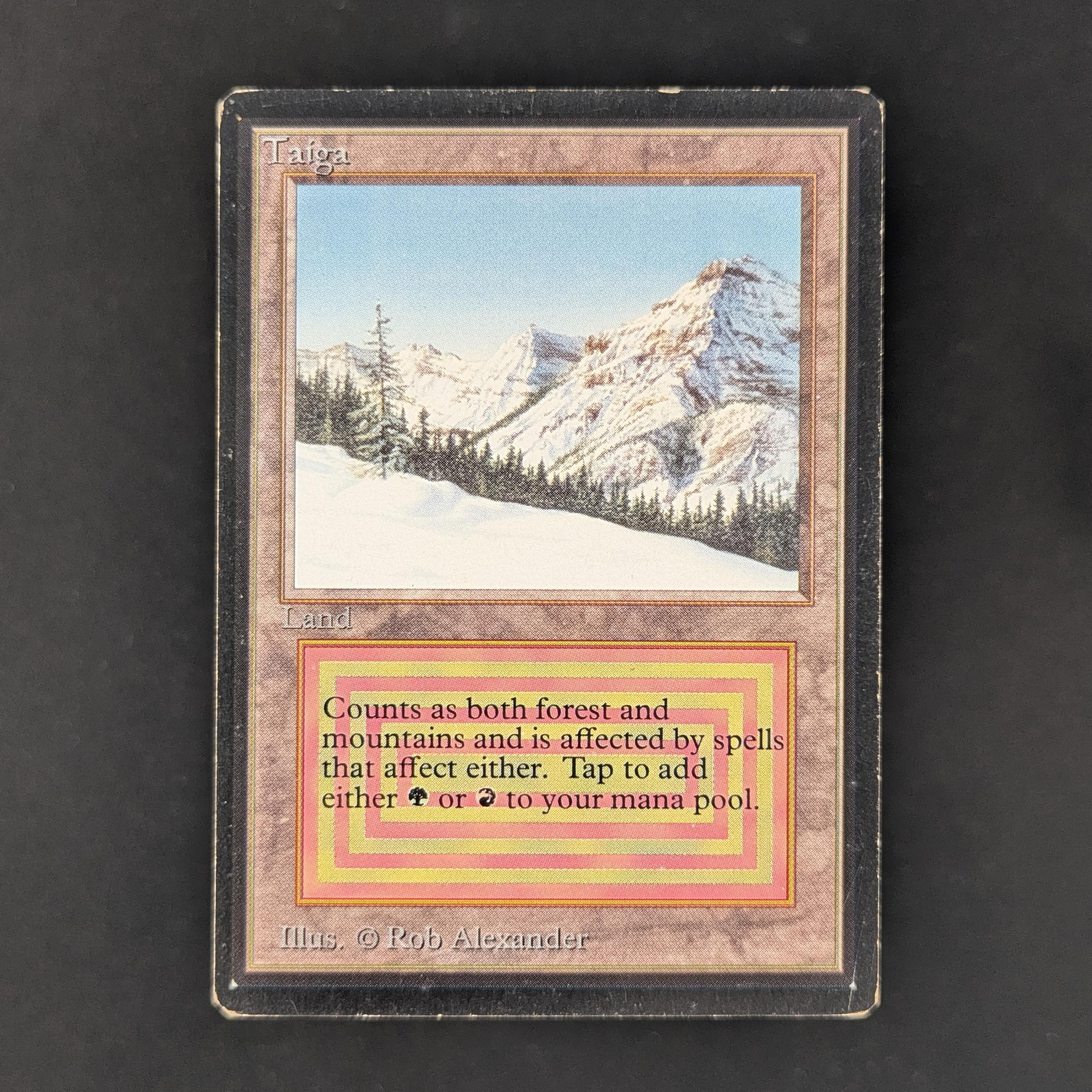 MTG Singles - Taiga - International Edition - PO - 32880