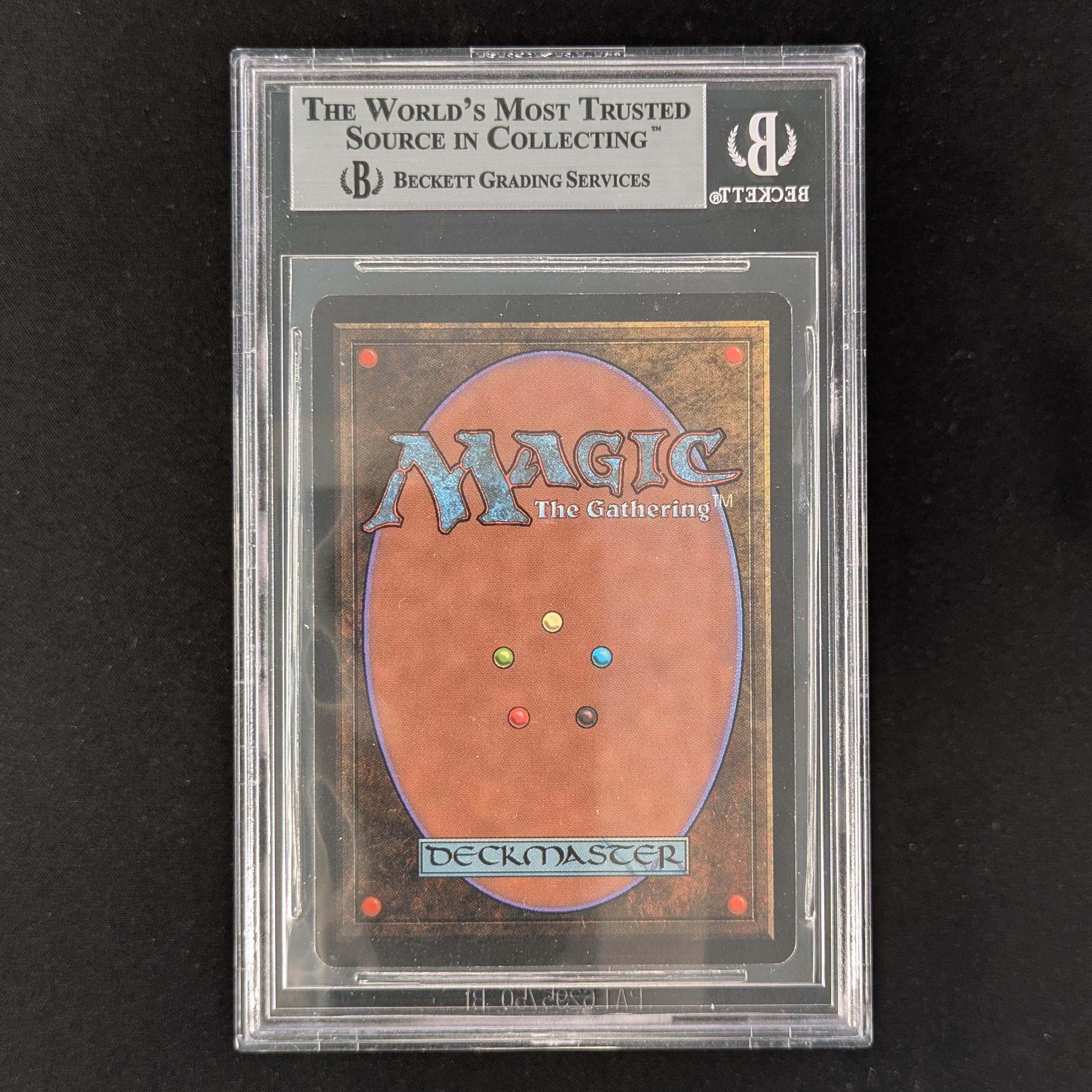 MTG Singles - Northern Paladin - Beta - BGS 9 -