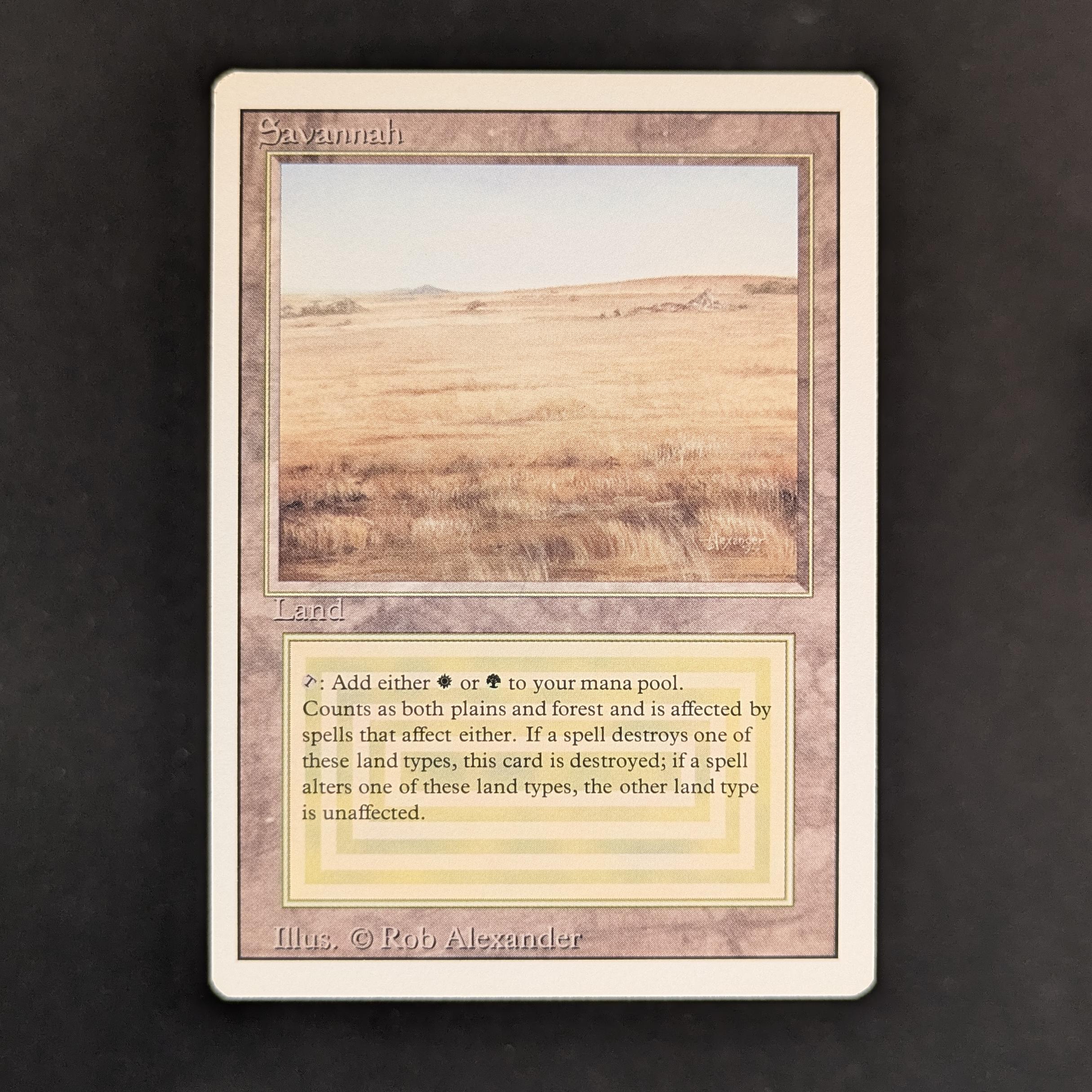 MTG Singles - Savannah - Revised - NM - 32979