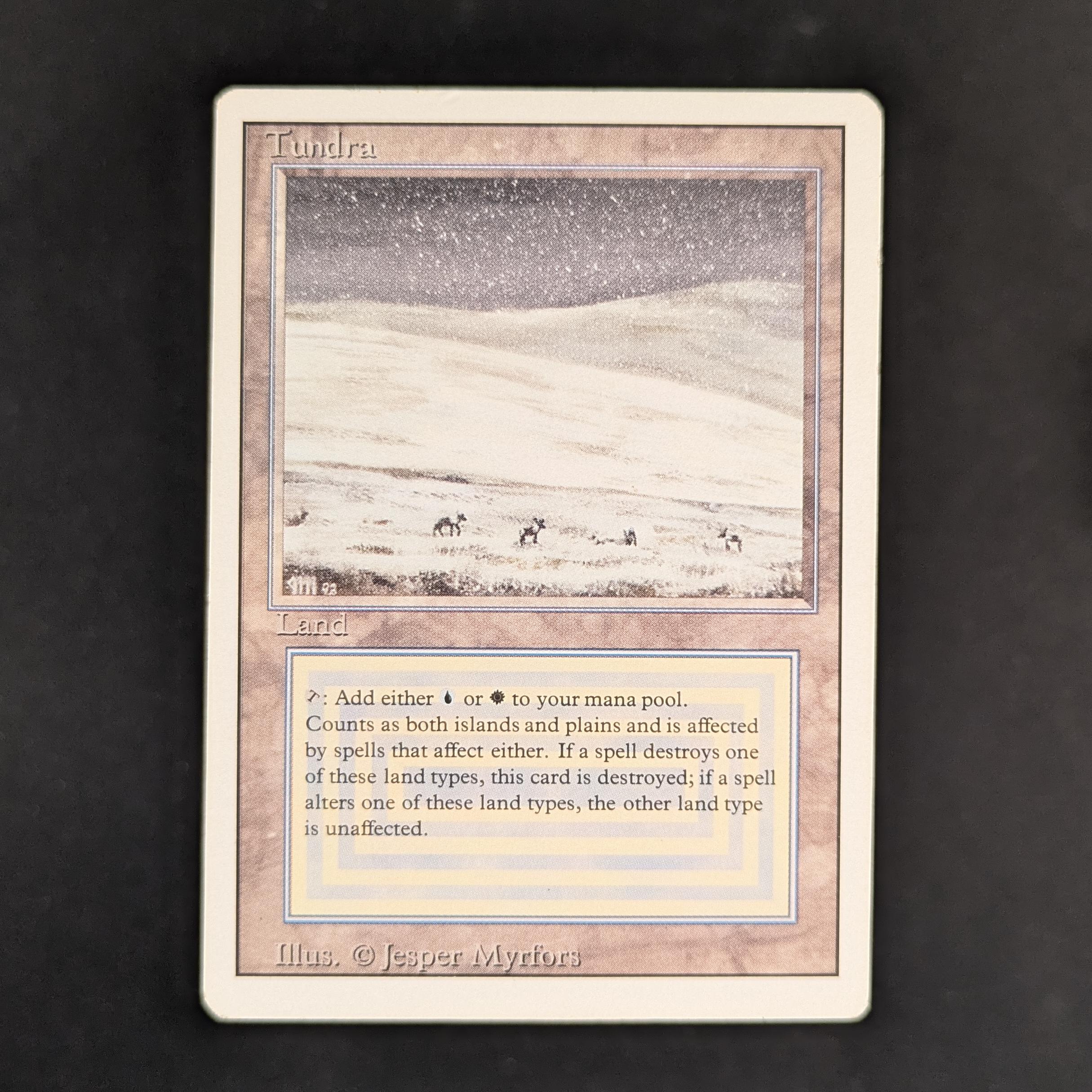 MTG Singles - Tundra - Revised - PL - 32997