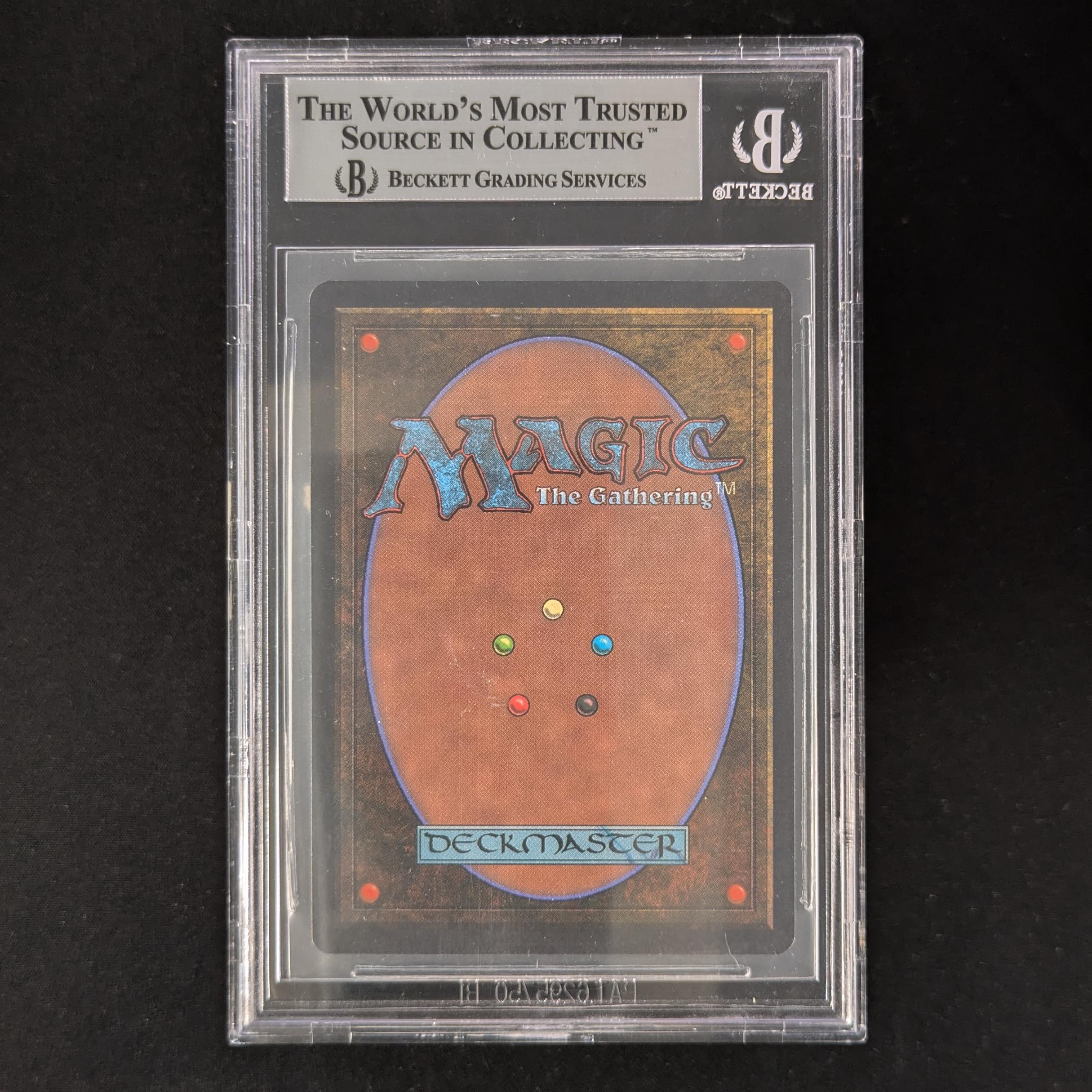 MTG Singles - Island of Wak-Wak - Arabian Nights -