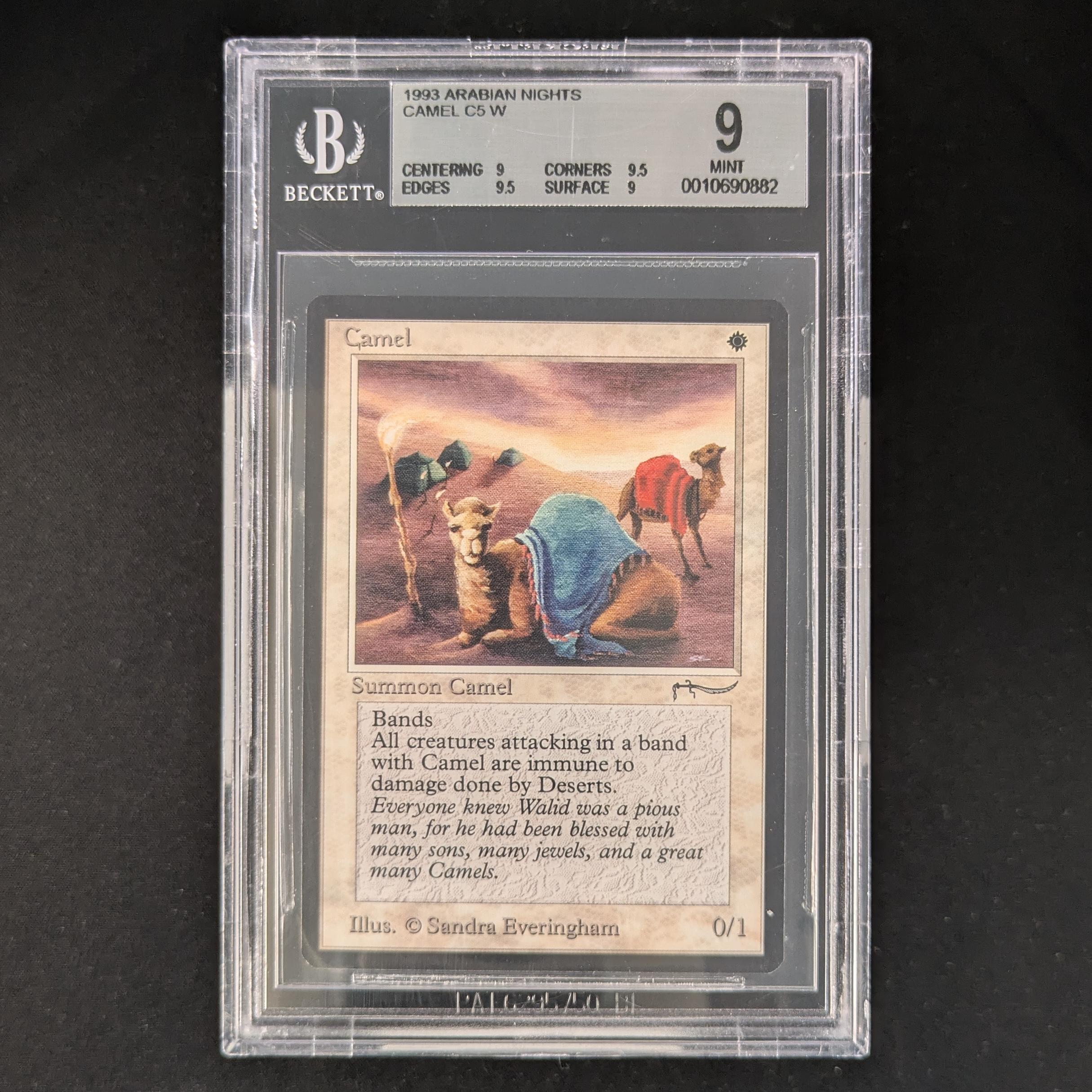 Camel - Arabian Nights - BGS 9