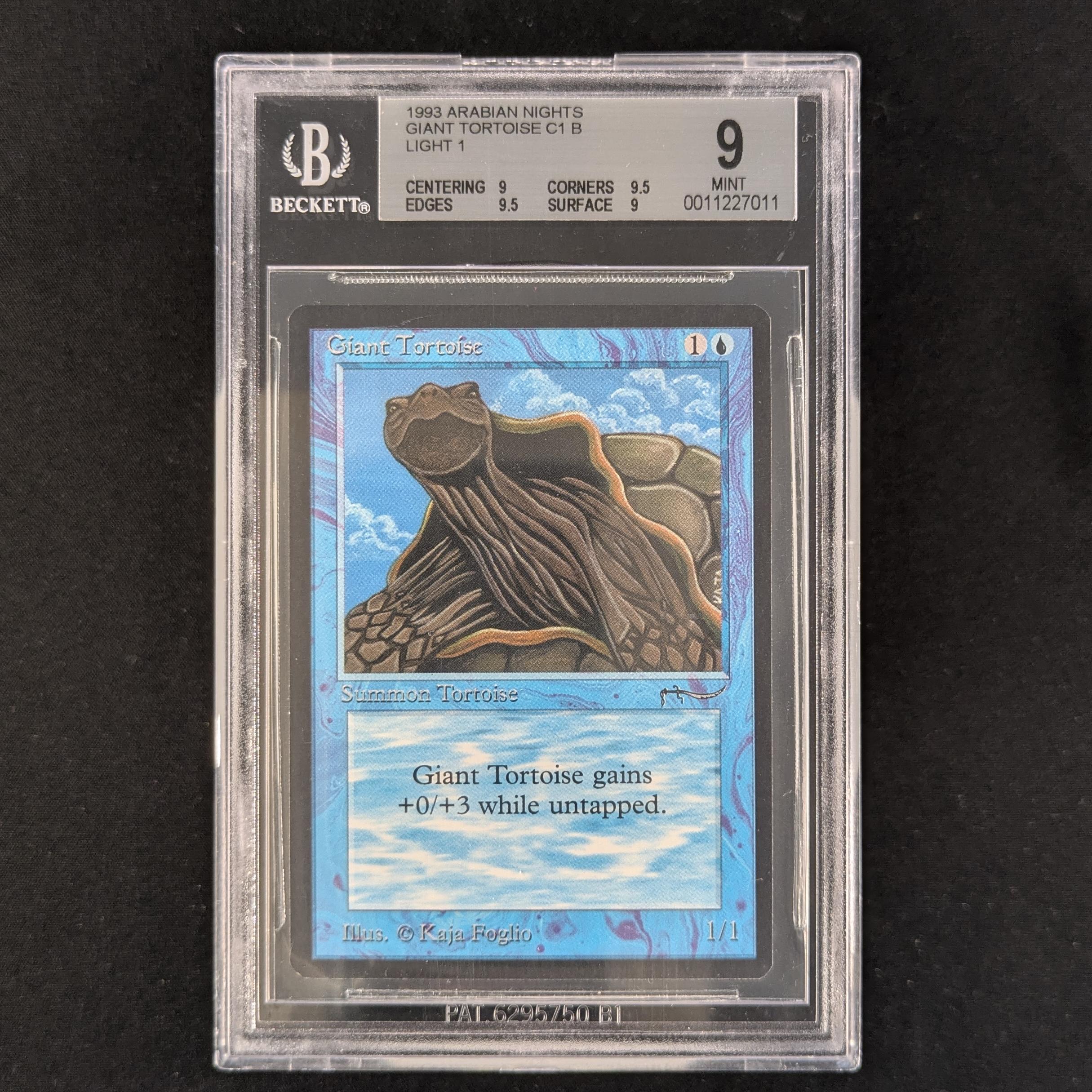 Giant Tortoise - Arabian Nights - BGS 9 - Light