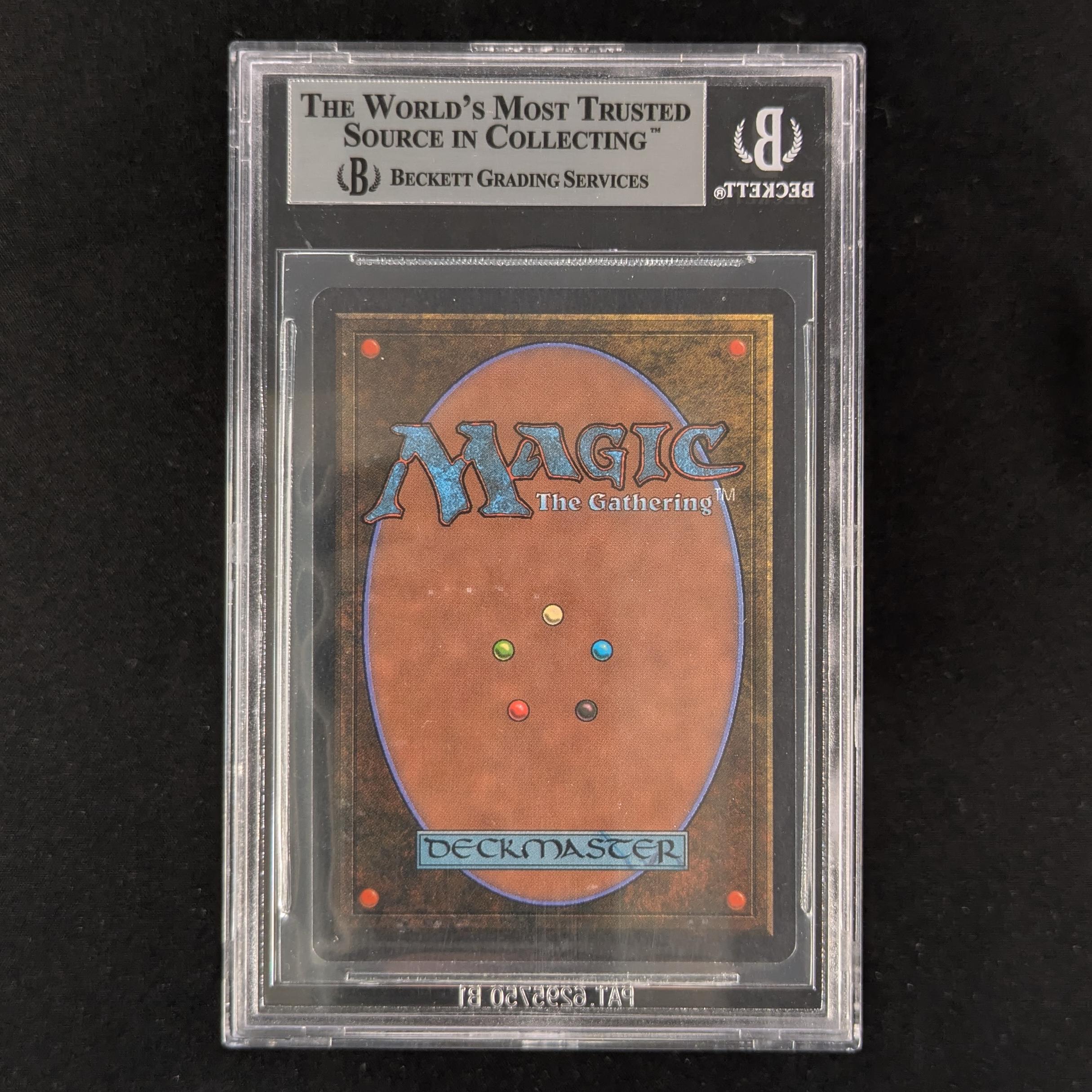 Giant Tortoise - Arabian Nights - BGS 9 - Light