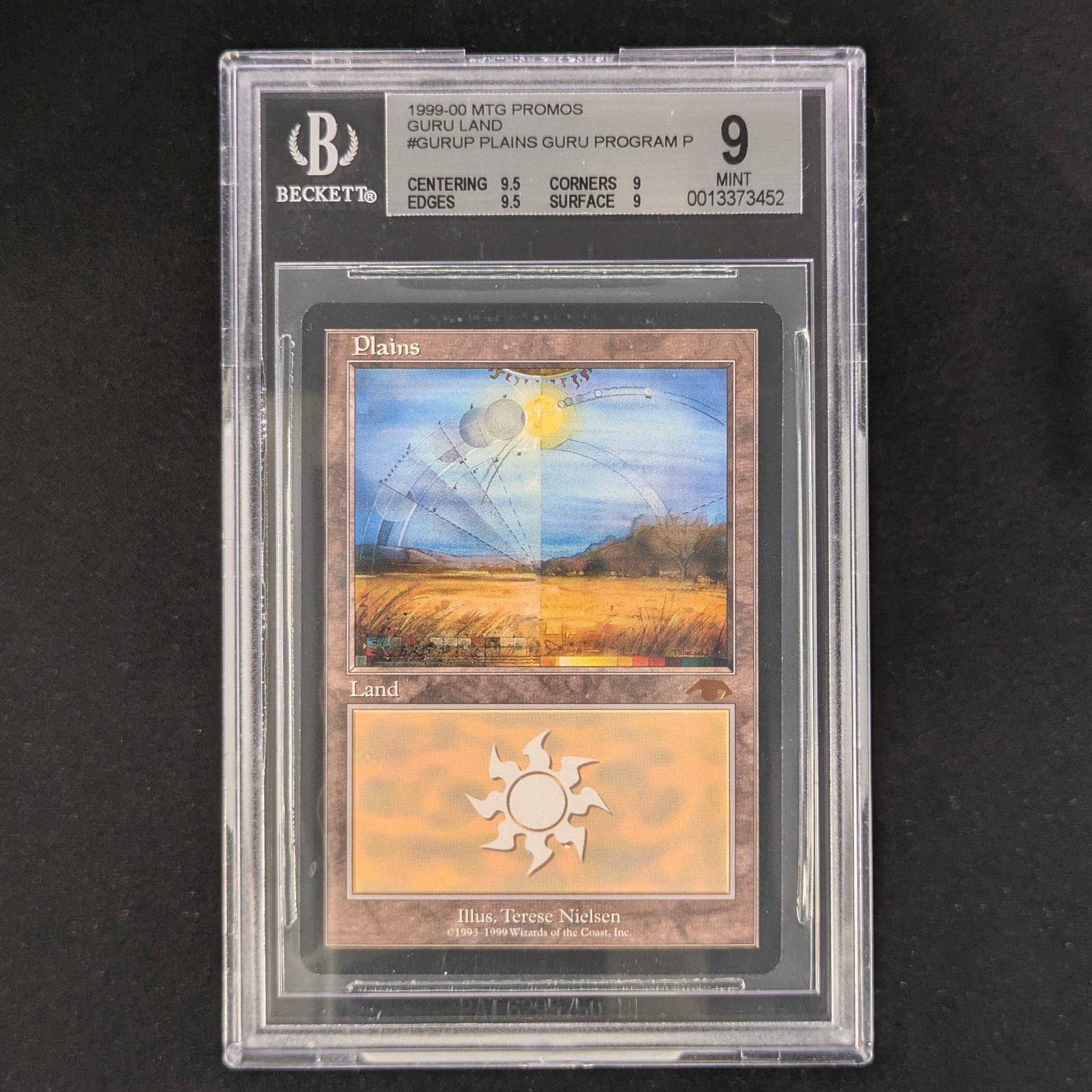 Plains - Guru Lands - BGS 9