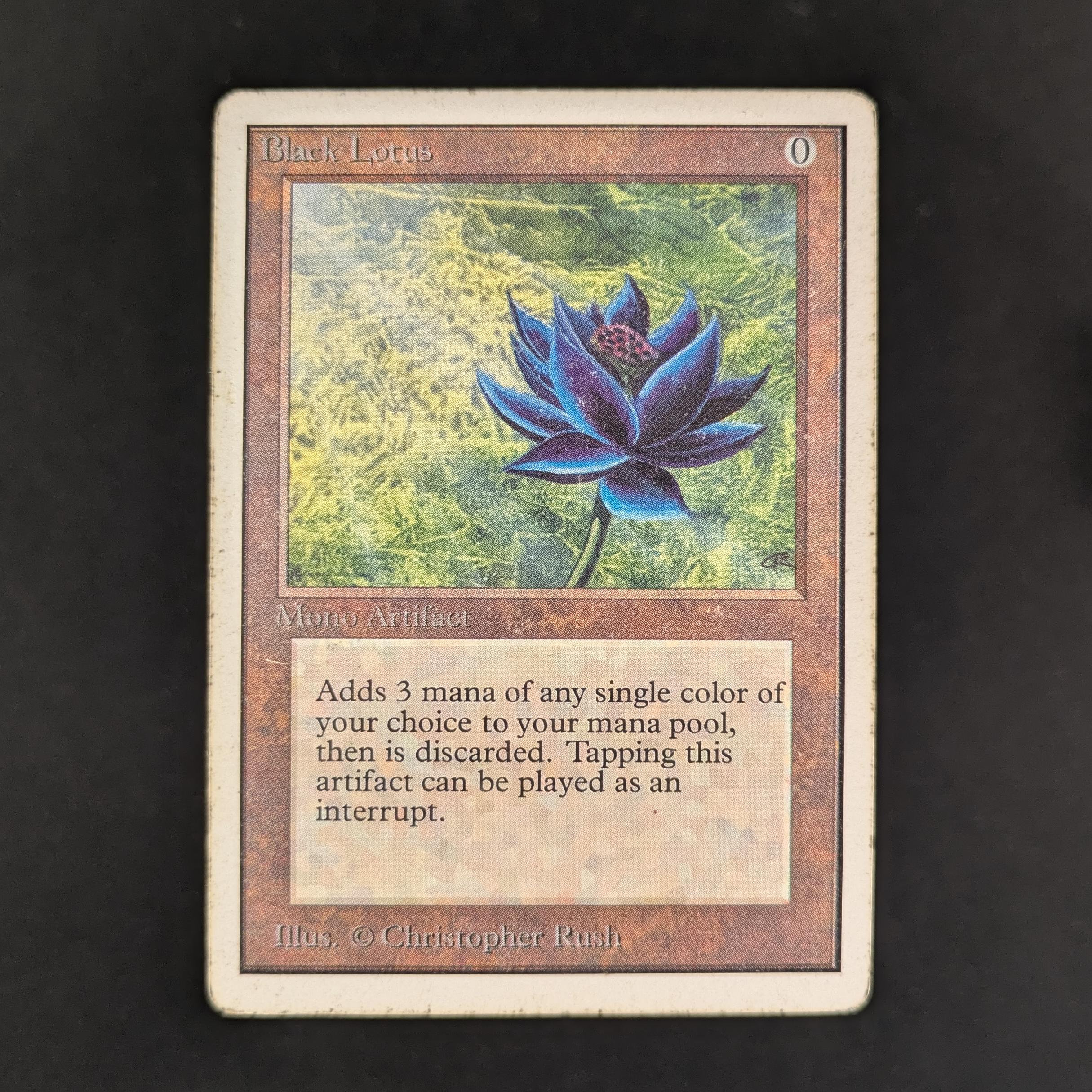 MTG Singles - Black Lotus - Unlimited - PL - 33460