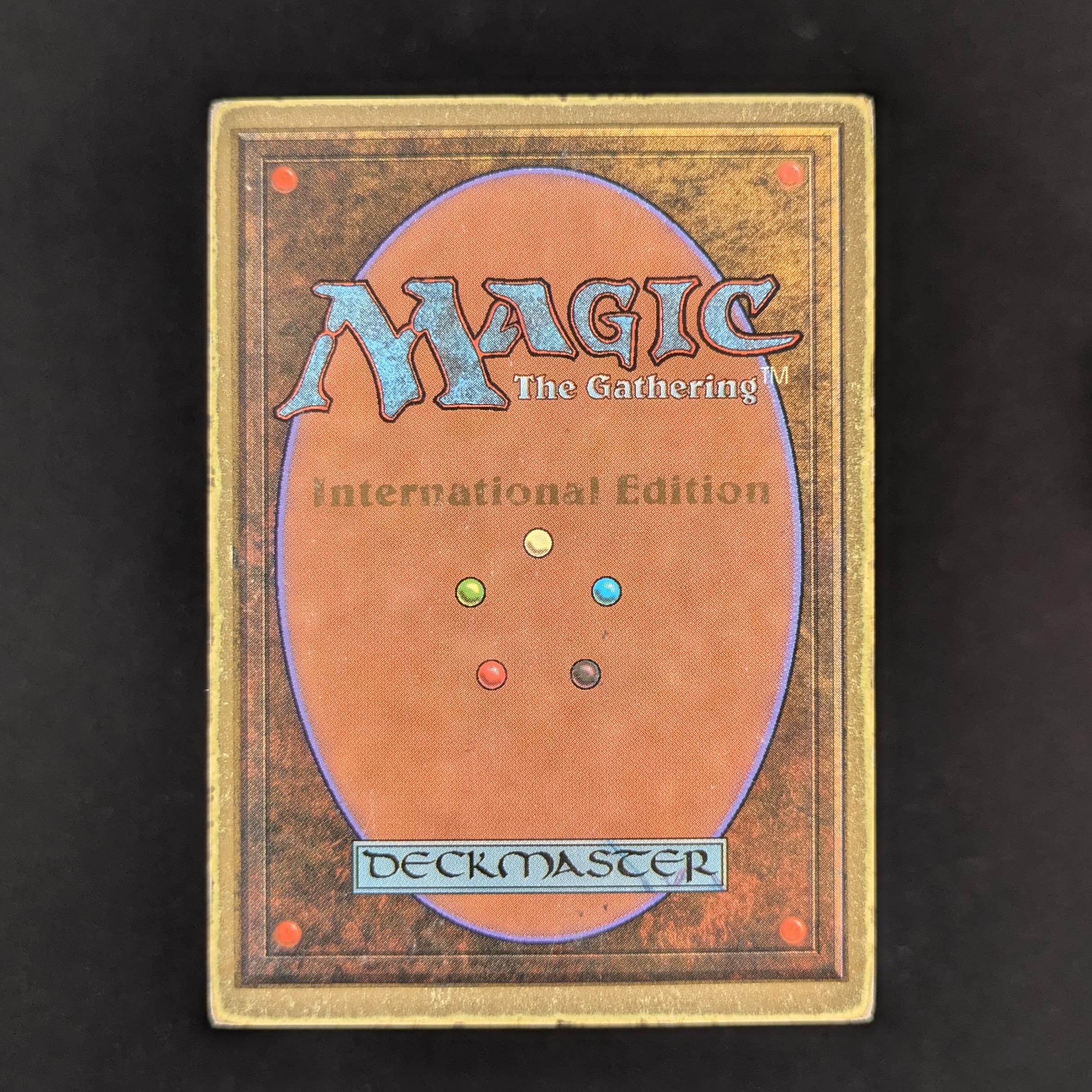 MTG Singles - Taiga - International Edition -