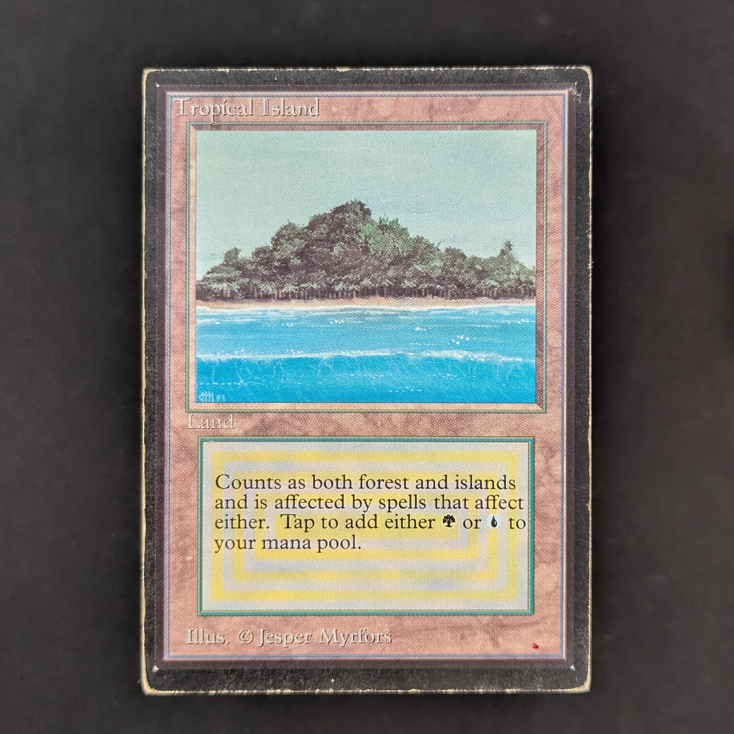 MTG Singles - Tundra - International Edition - PO - INKED - 33530