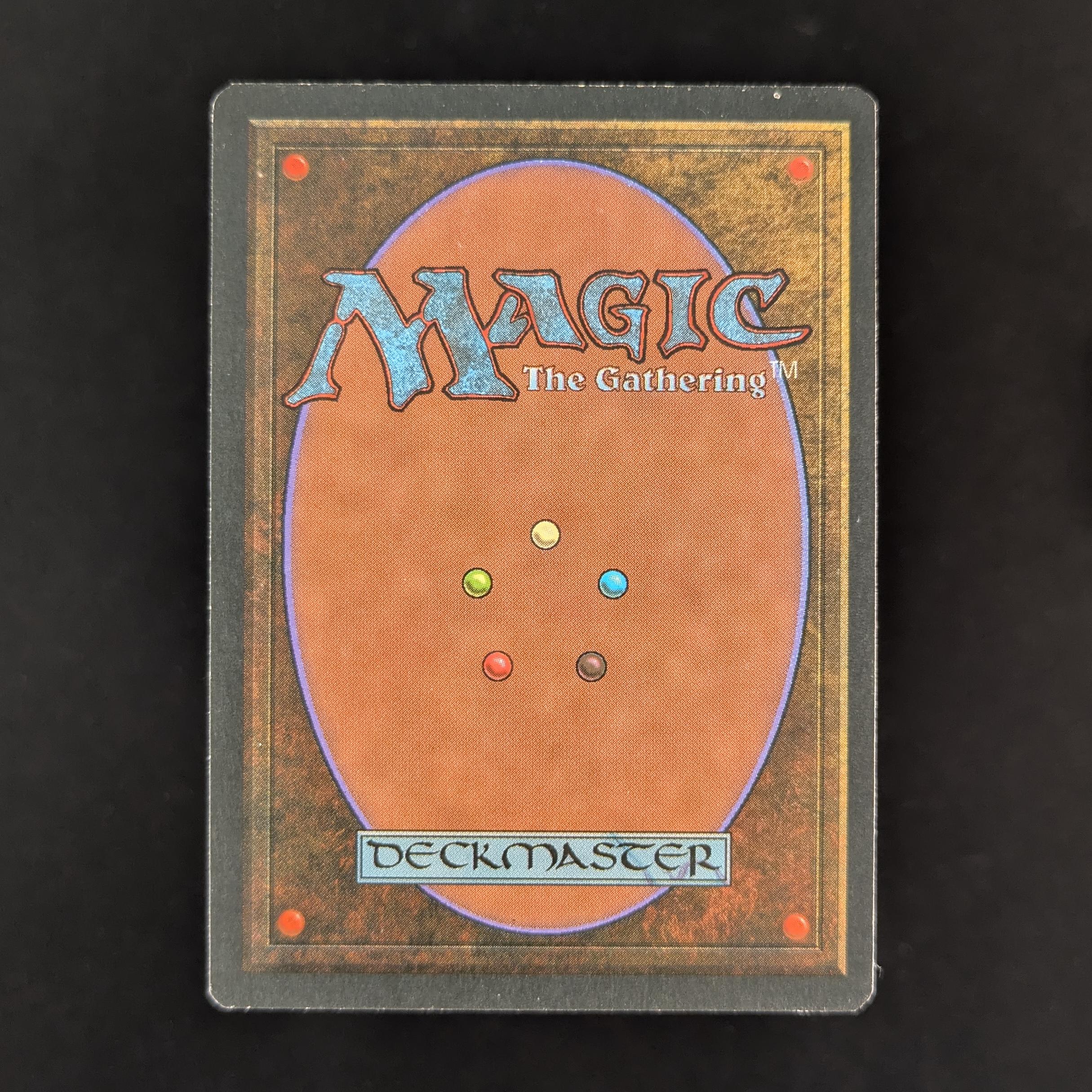 MTG Singles - Tundra - Foreign White Bordered -