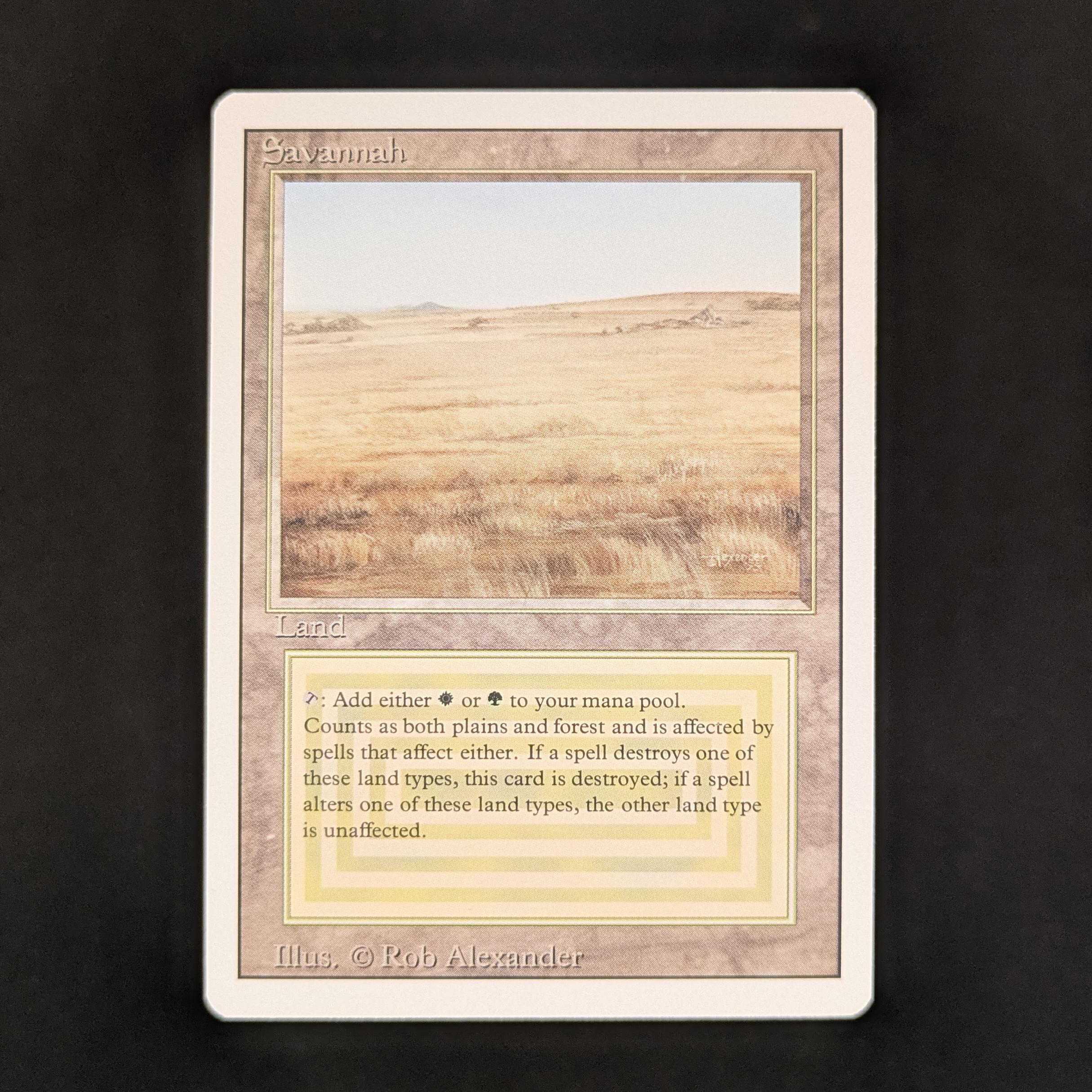 Savannah - Revised