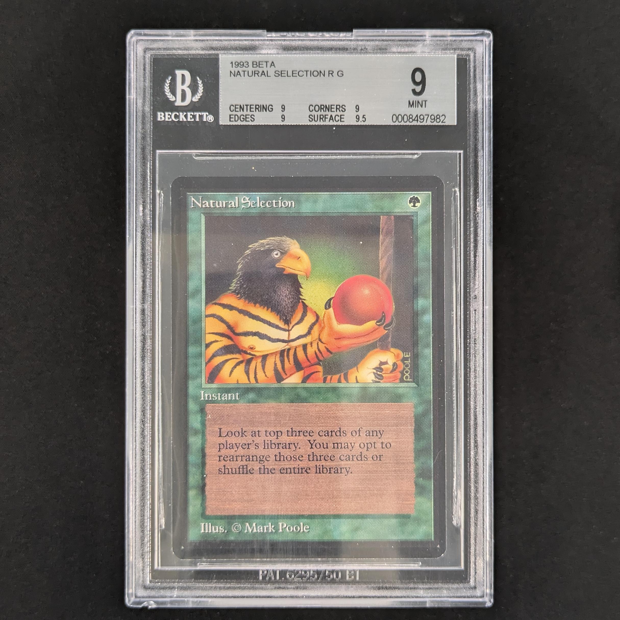 Natural Selection - Beta - English - BGS 9