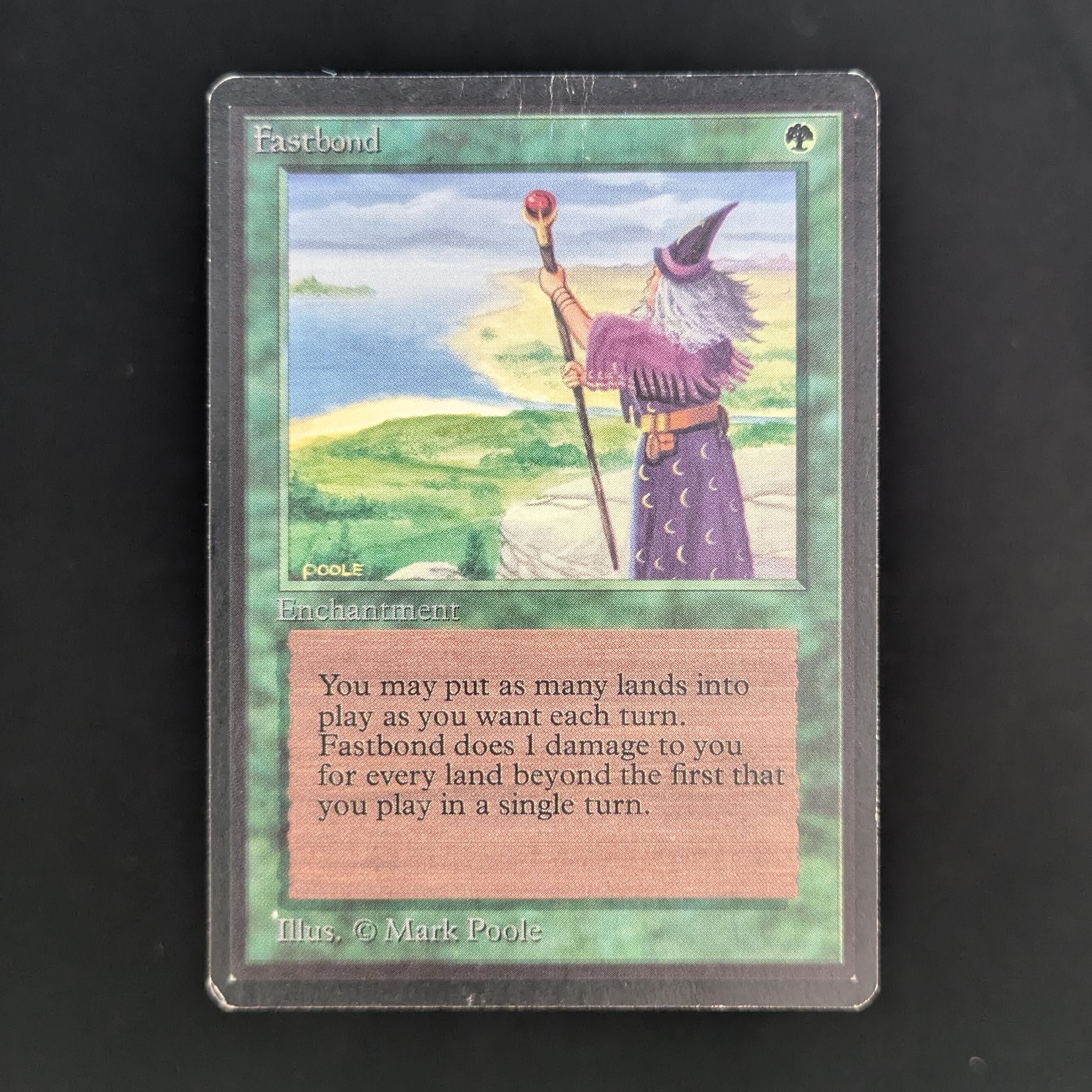 MTG Singles - Fastbond - Beta - PL - 33748