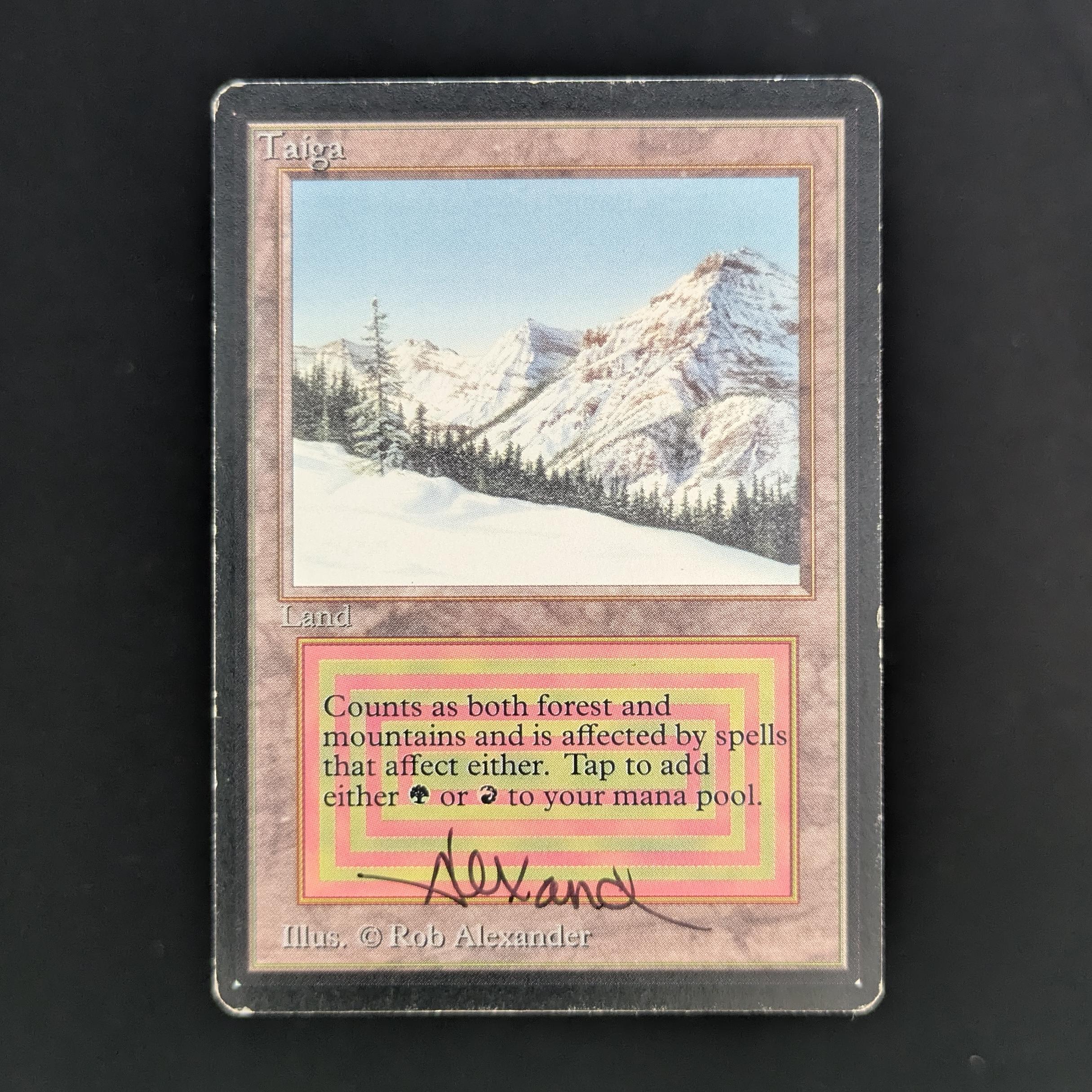 Taiga - Beta
