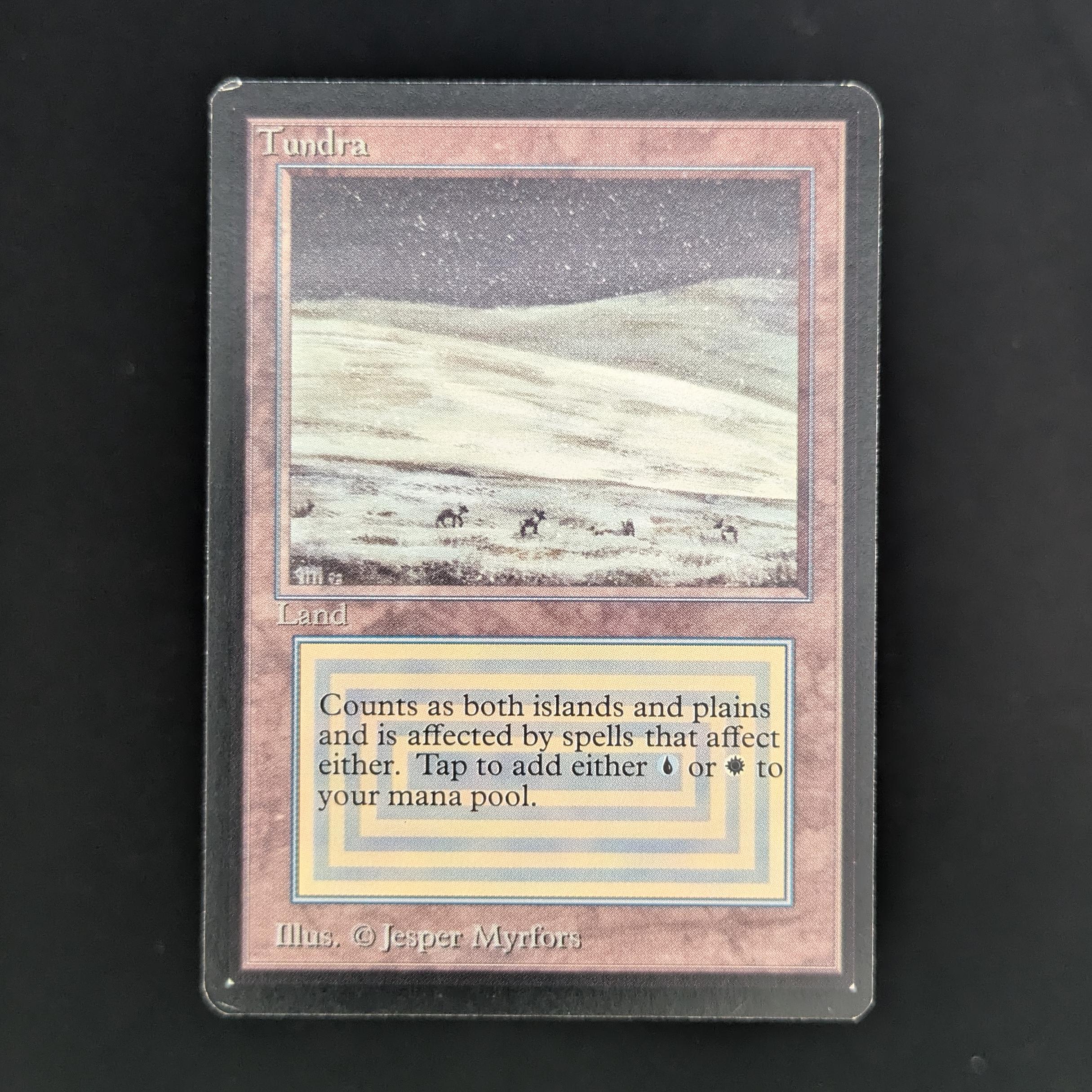 MTG Singles - Tundra - Beta - GD - 33762