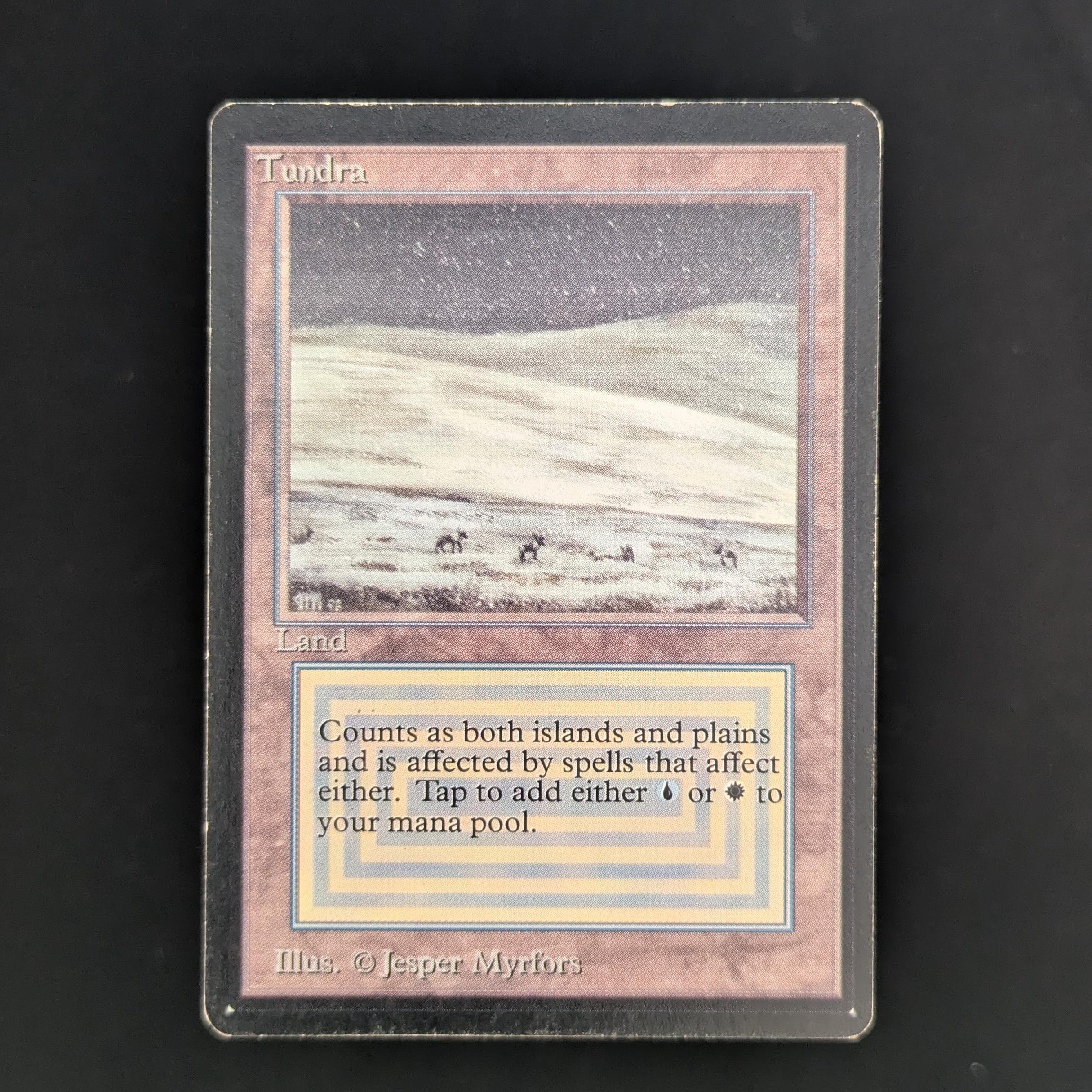 MTG Singles - Tundra - Beta - PL - 33763