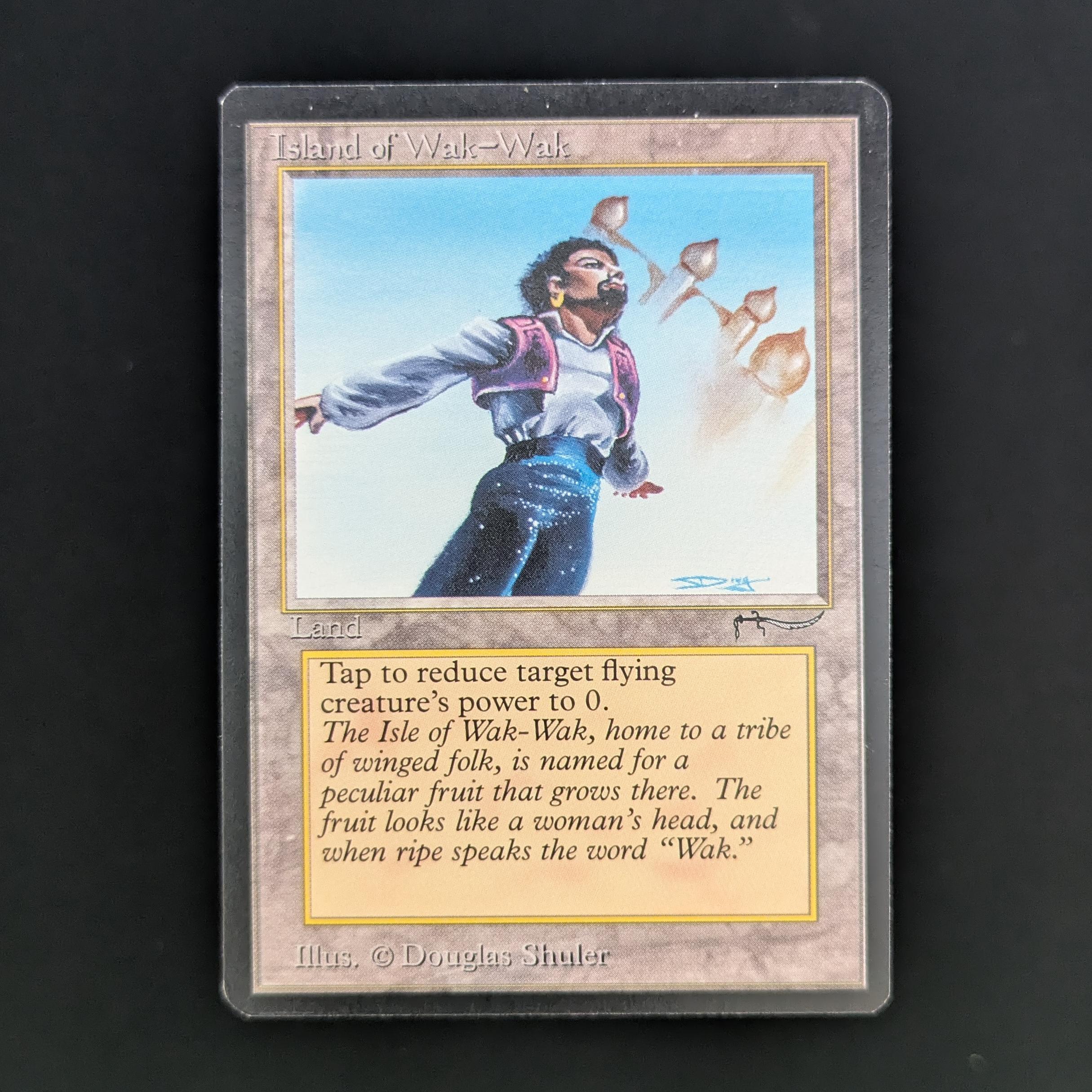 MTG Singles - Island of Wak-Wak - Arabian Nights - EX - 33798