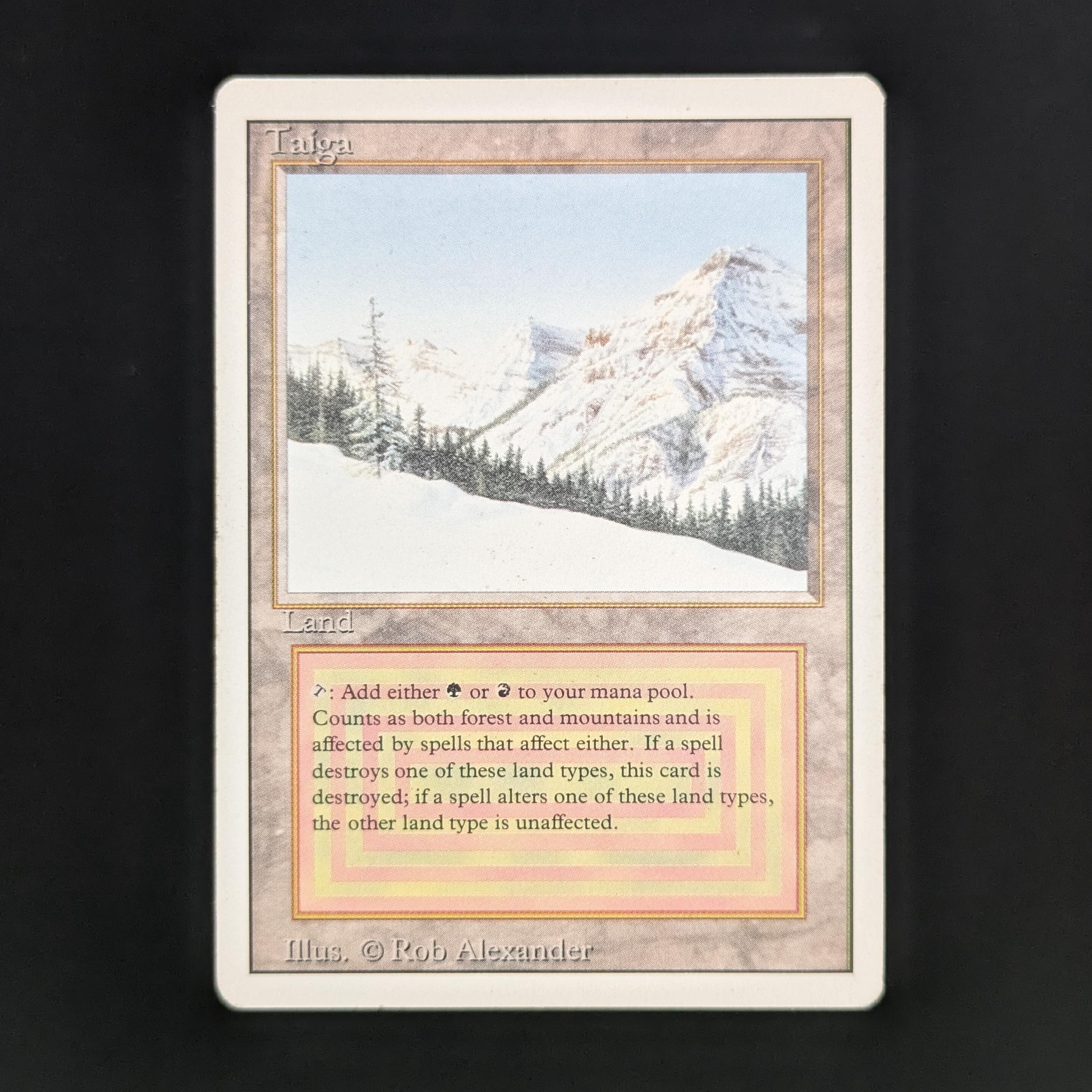 MTG Singles - Taiga - Revised - PL - 33870