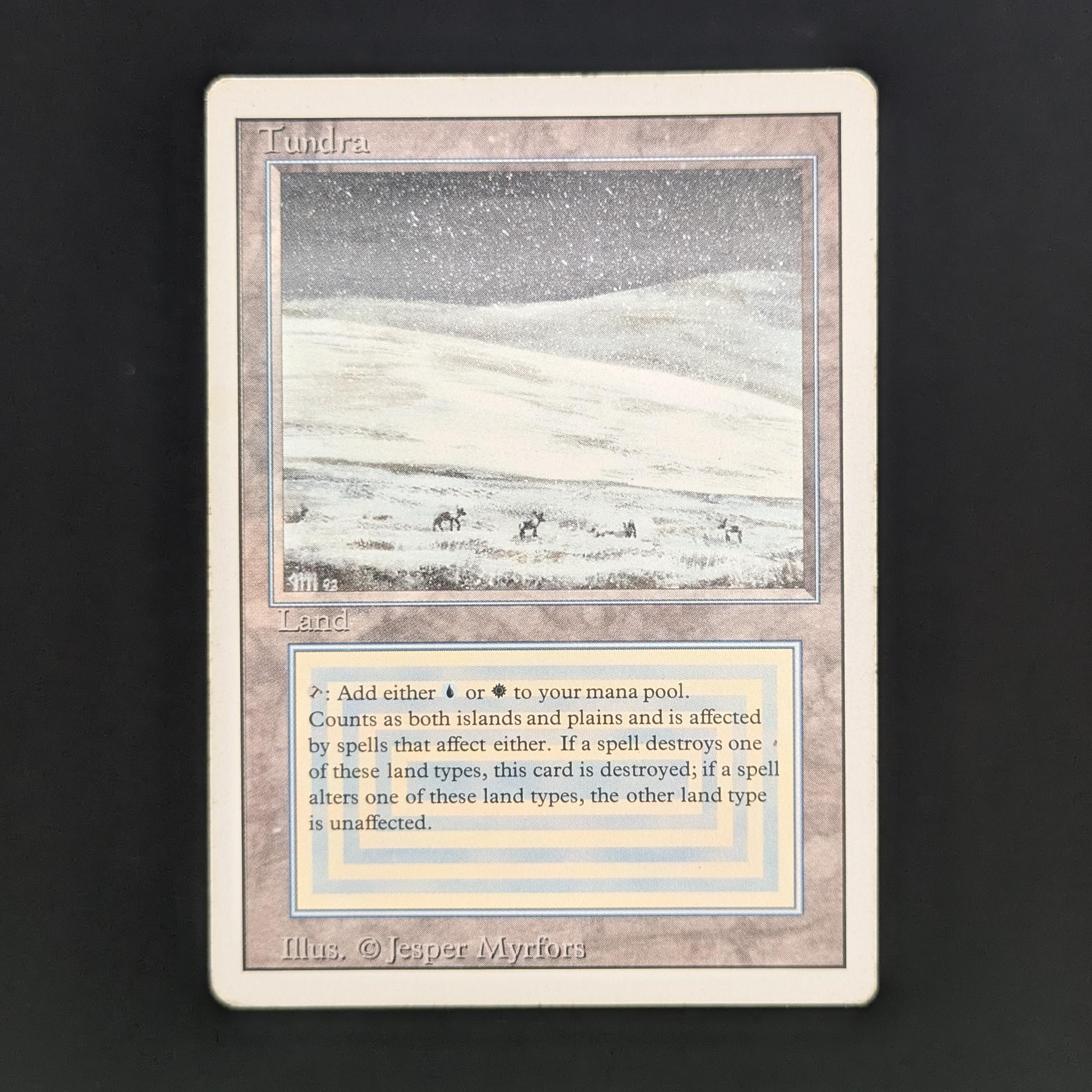MTG Singles - Tundra - Revised - PL - 33877
