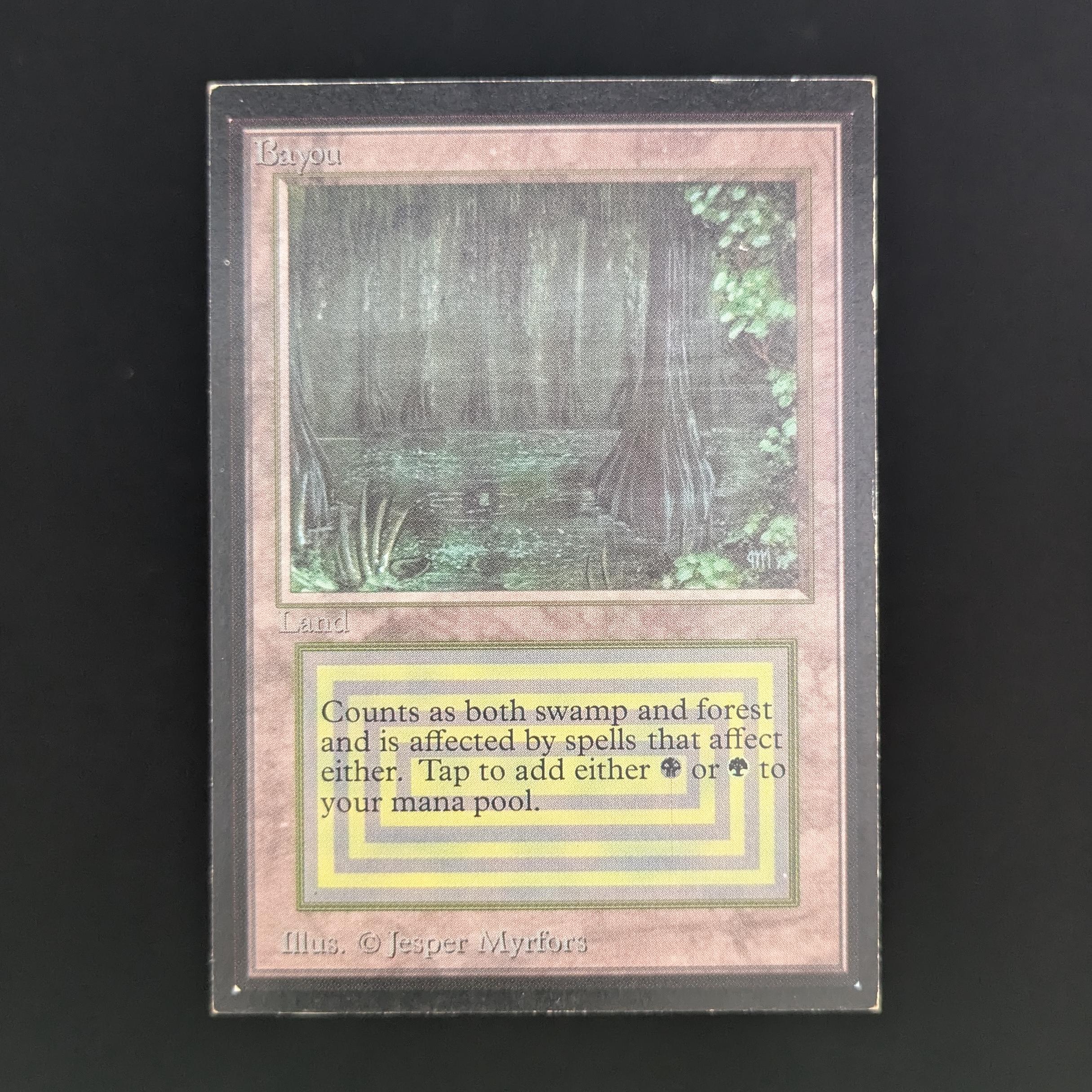 MTG Singles - Bayou - International Edition - PL - 34041
