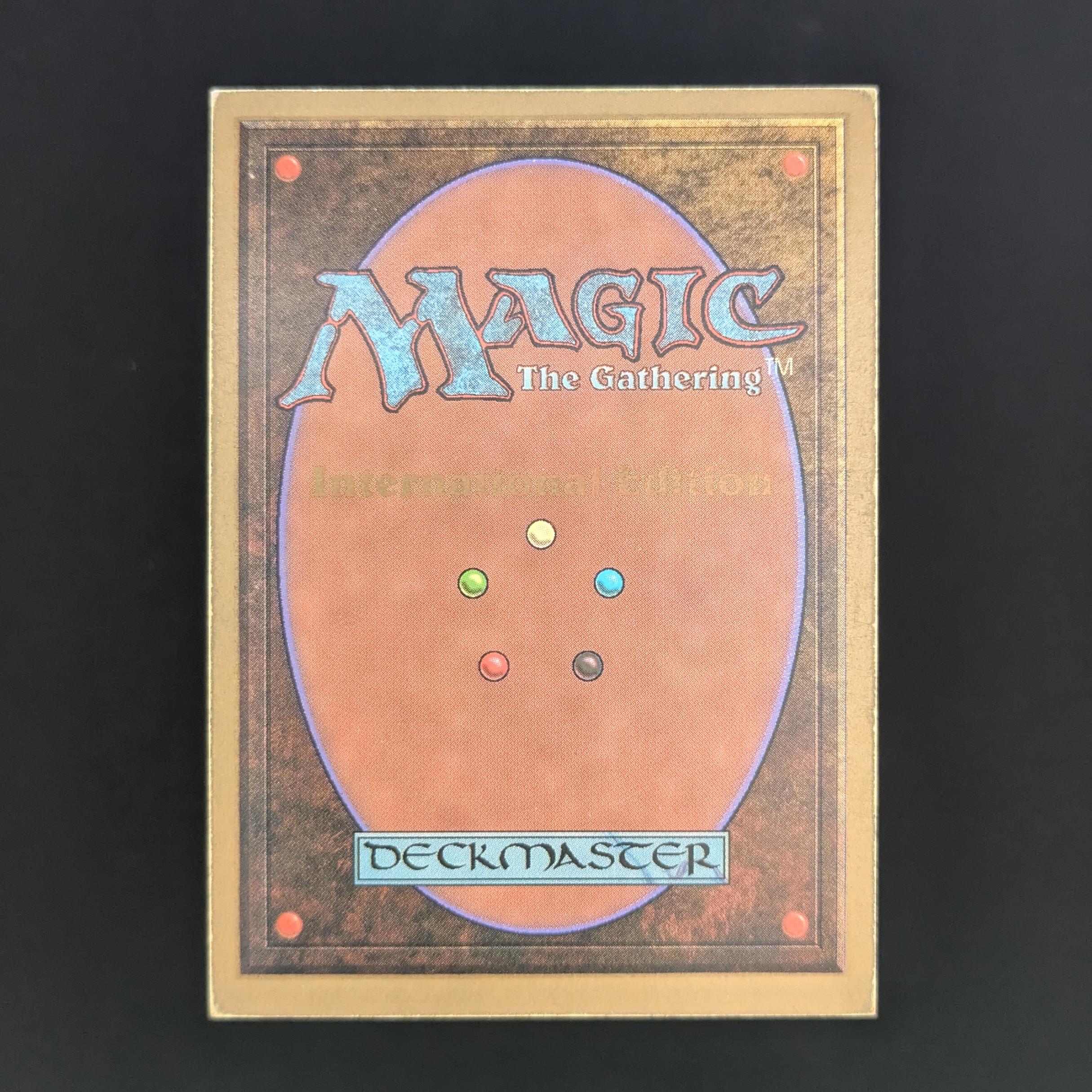 MTG Singles - Taiga - International Edition -