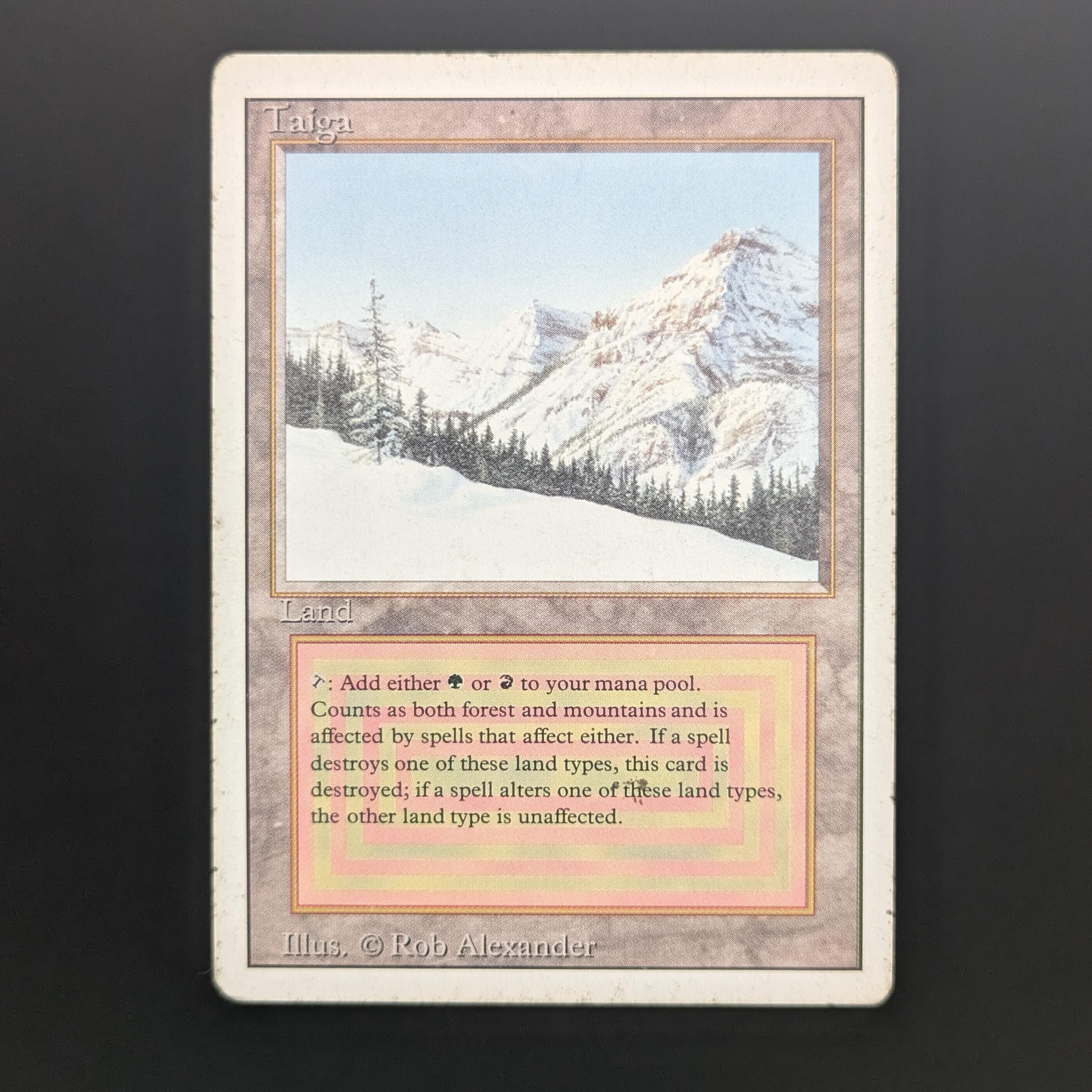 MTG Singles - Taiga - Revised - PL - 34138