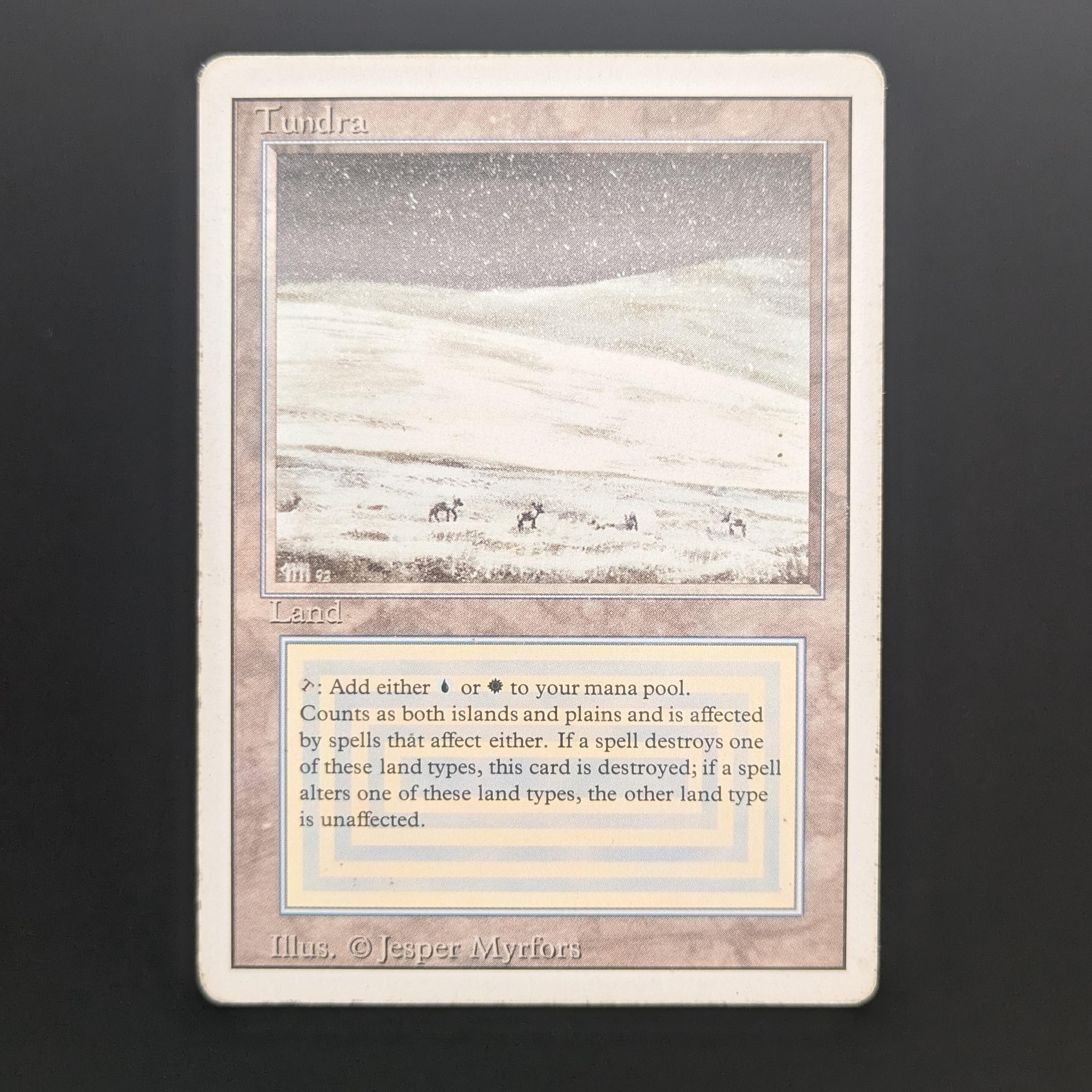 MTG Singles - Tundra - Revised - PL - 34153