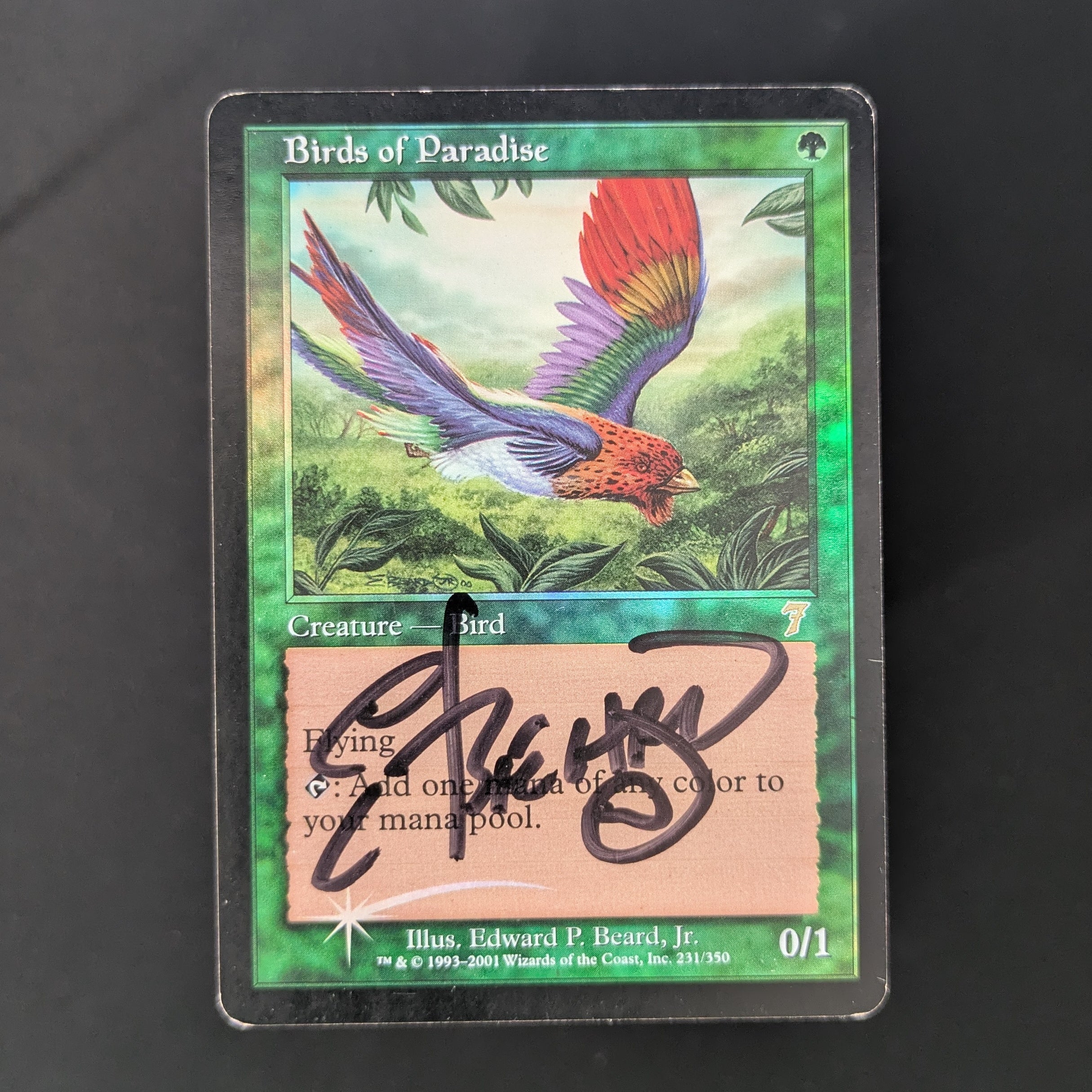 MTG 極楽鳥/Birds of Paradise ７ED 日本語 foil FOIL] Birds of Paradise - Seventh Edition - PL - SIGNED