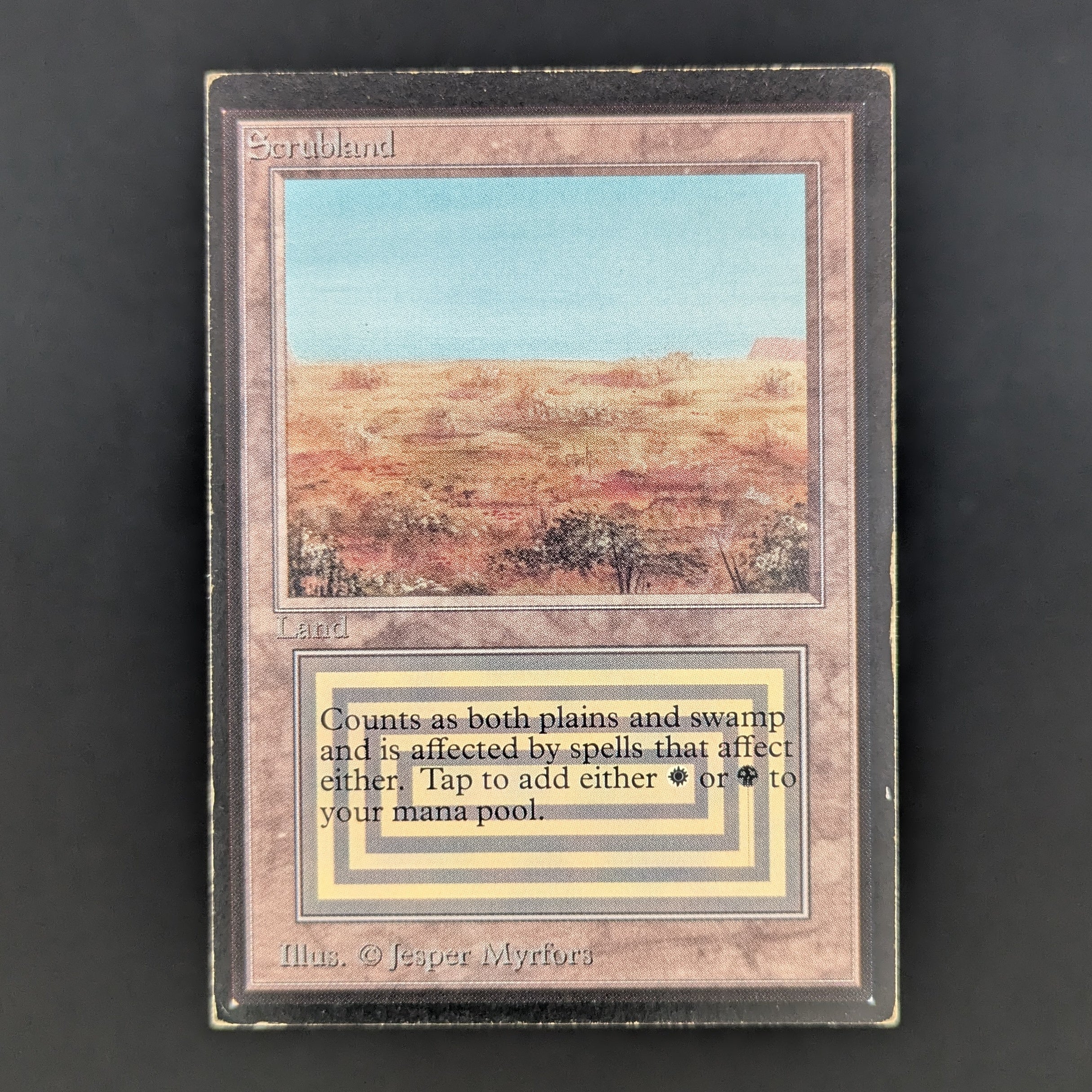 MTG Singles - Scrubland - International Edition - PL - 34935