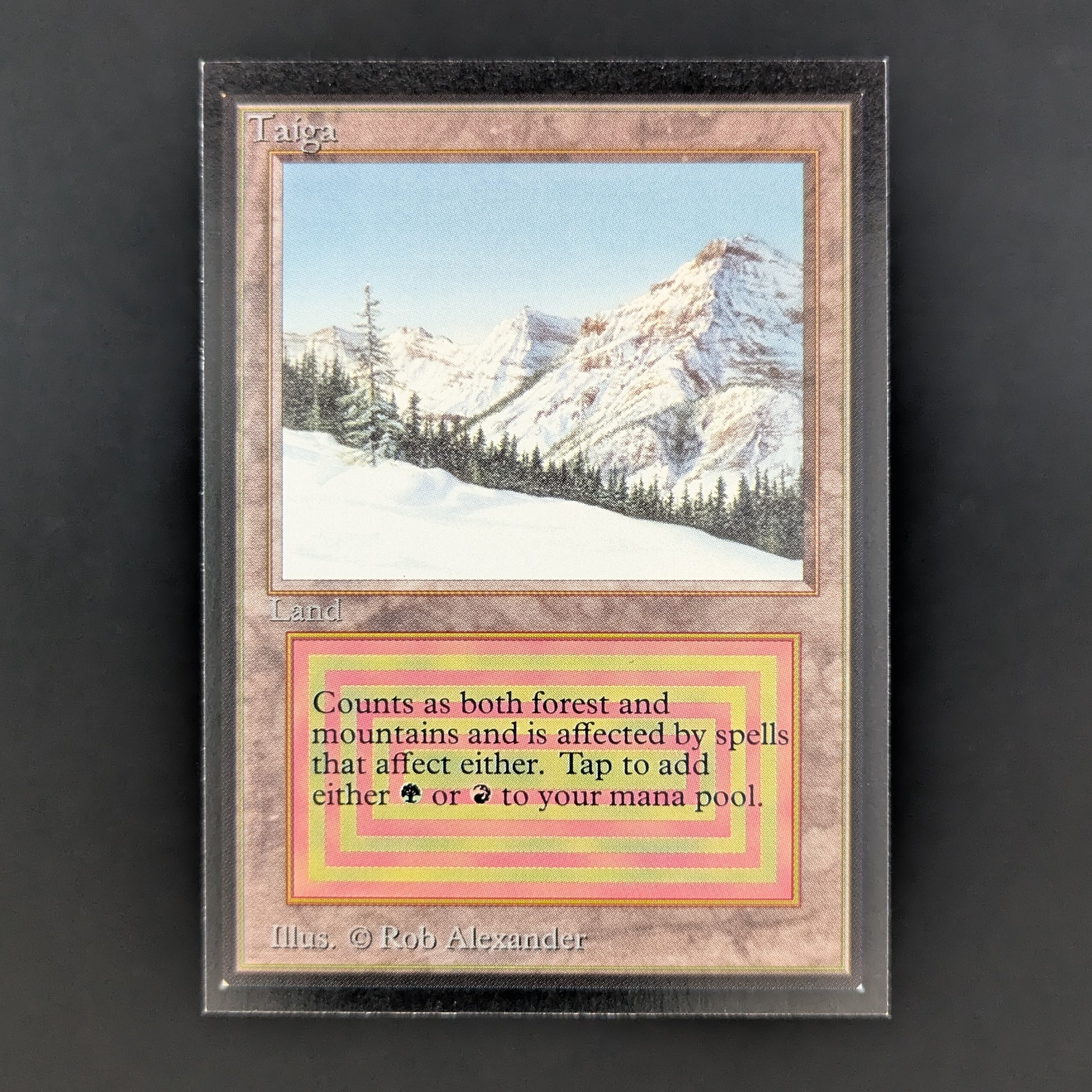 MTG Singles - Taiga - International Edition - NM - 34936