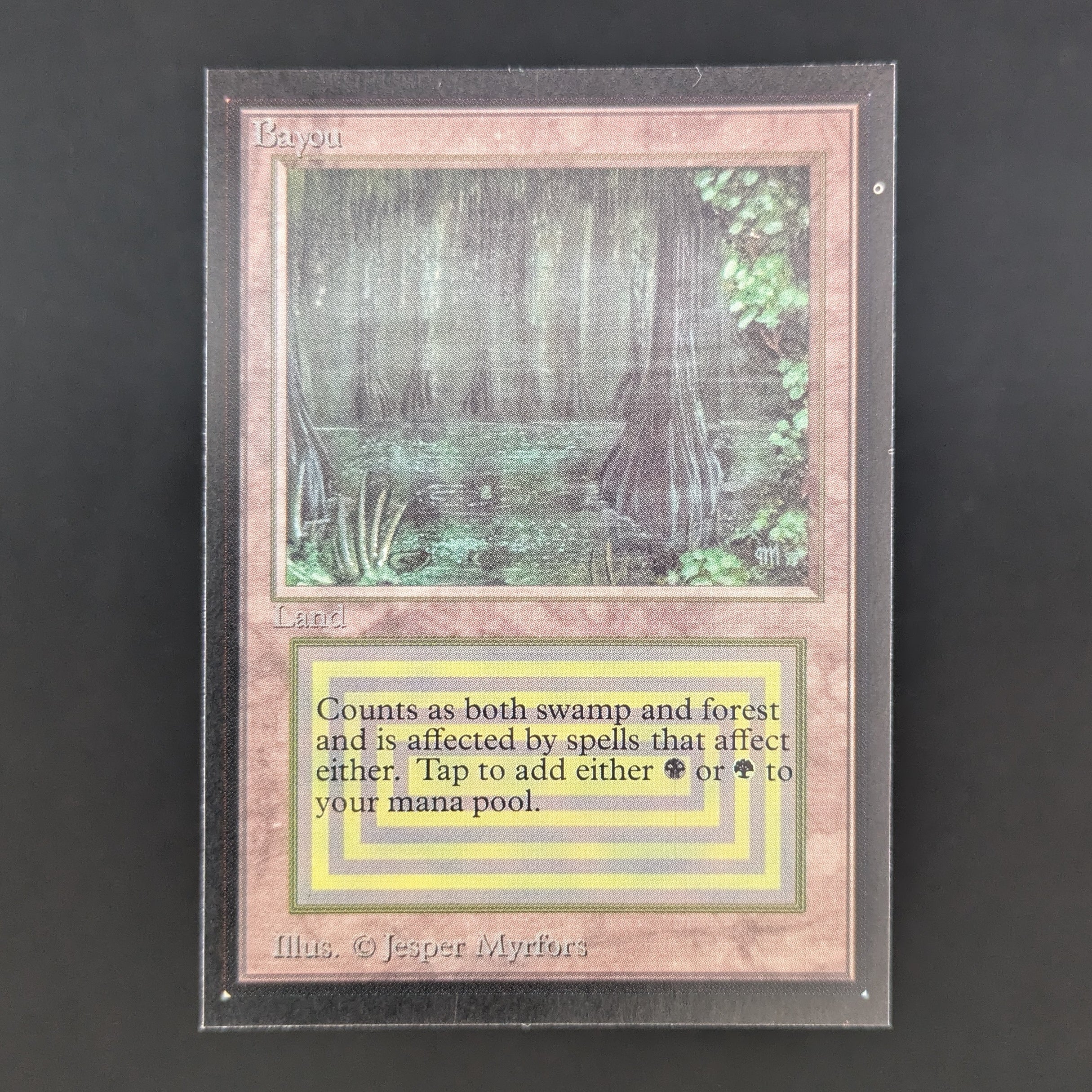MTG Singles - Bayou - Collectors' Edition - NM - 34946