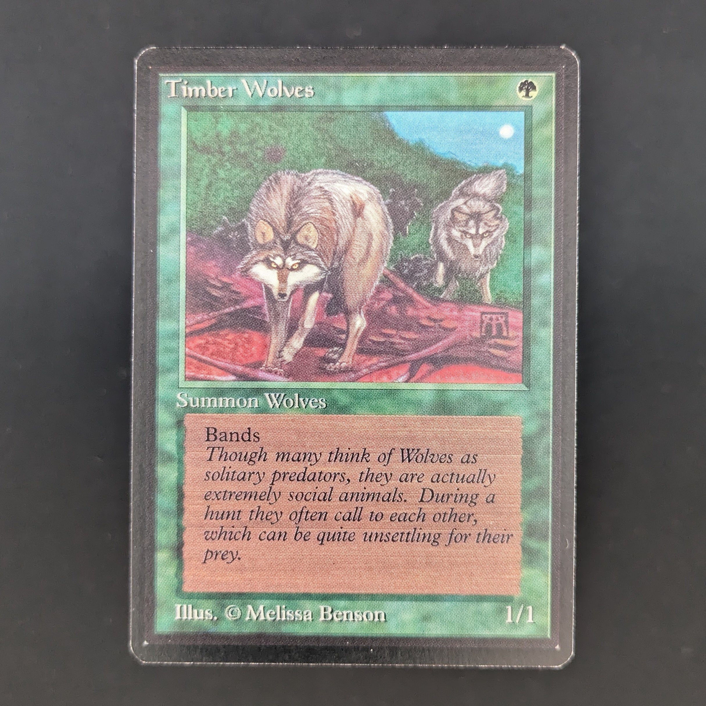 MTG Singles - Timber Wolves - Beta - EX - 35098