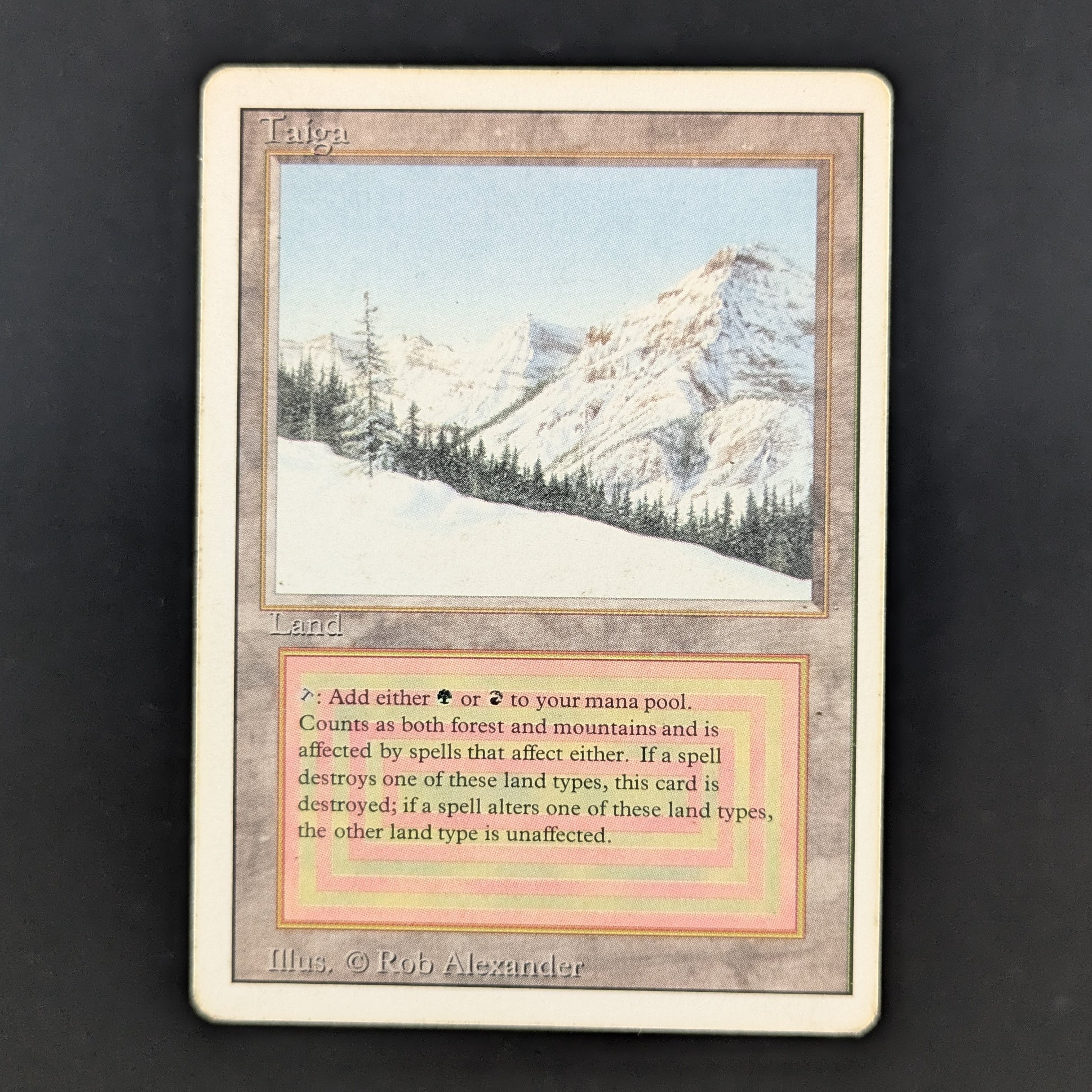 MTG Singles - Taiga - Revised - PL - 35166