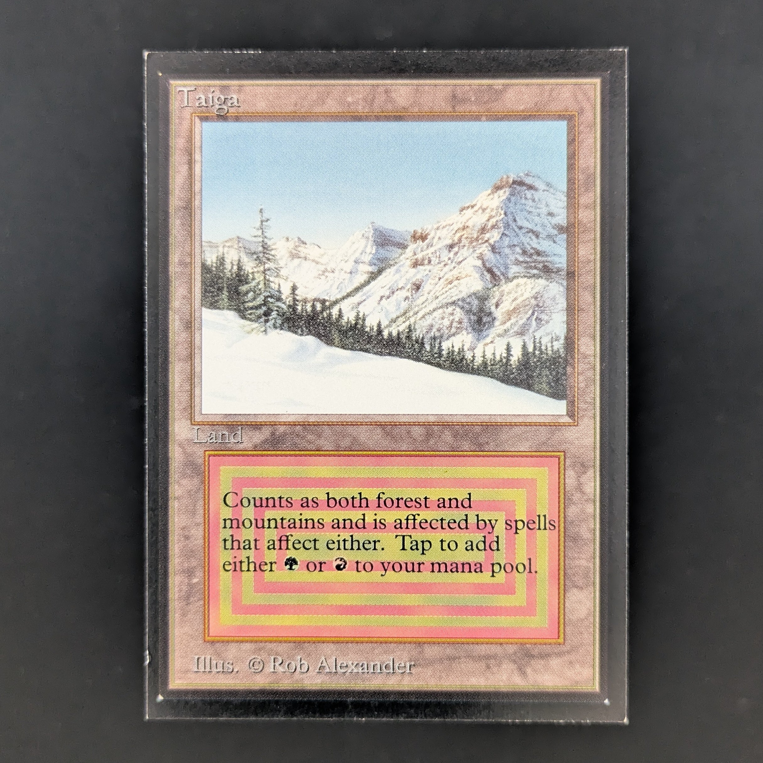 MTG Singles - Taiga - International Edition - EX - 35202