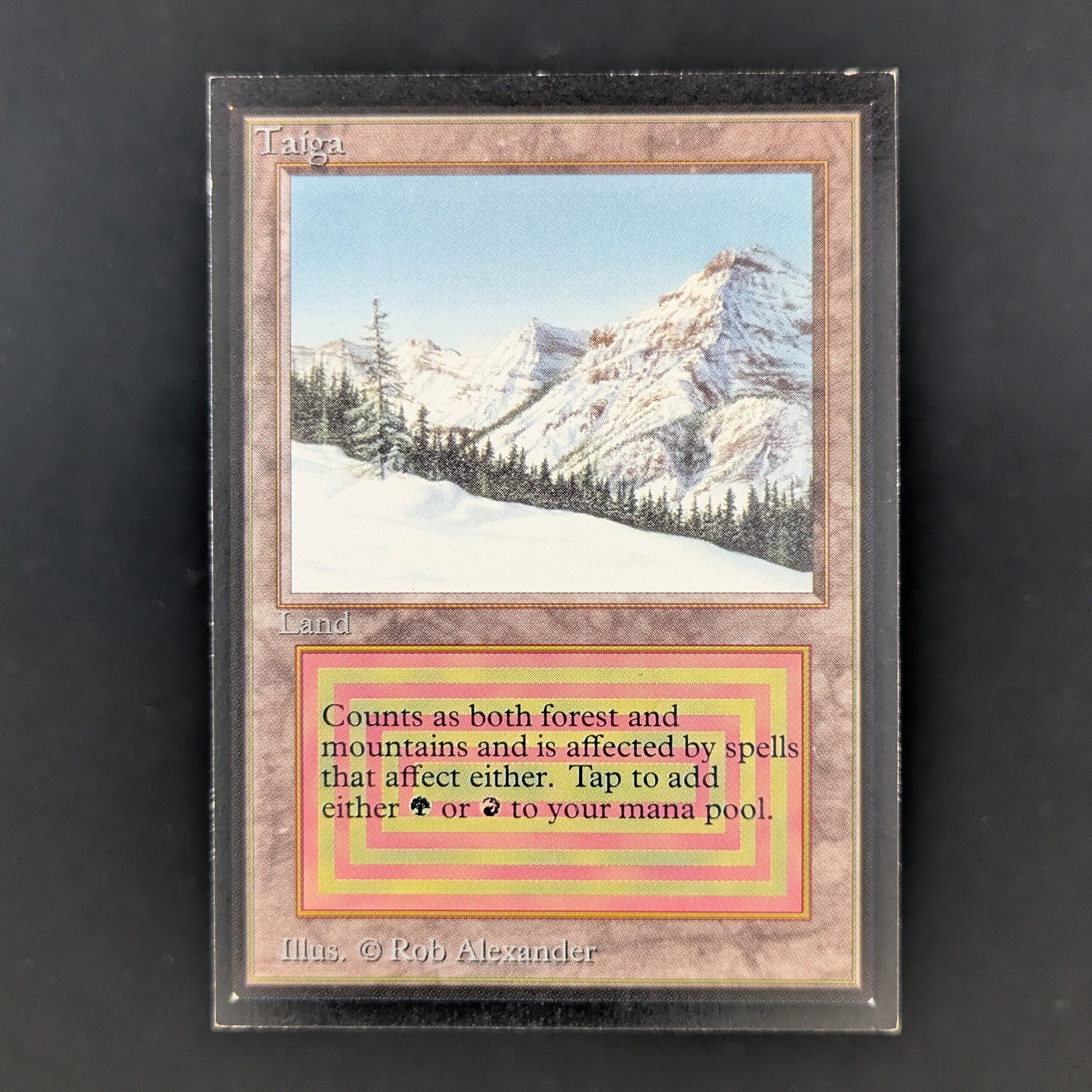 MTG Singles - Taiga - International Edition - GD - 35203