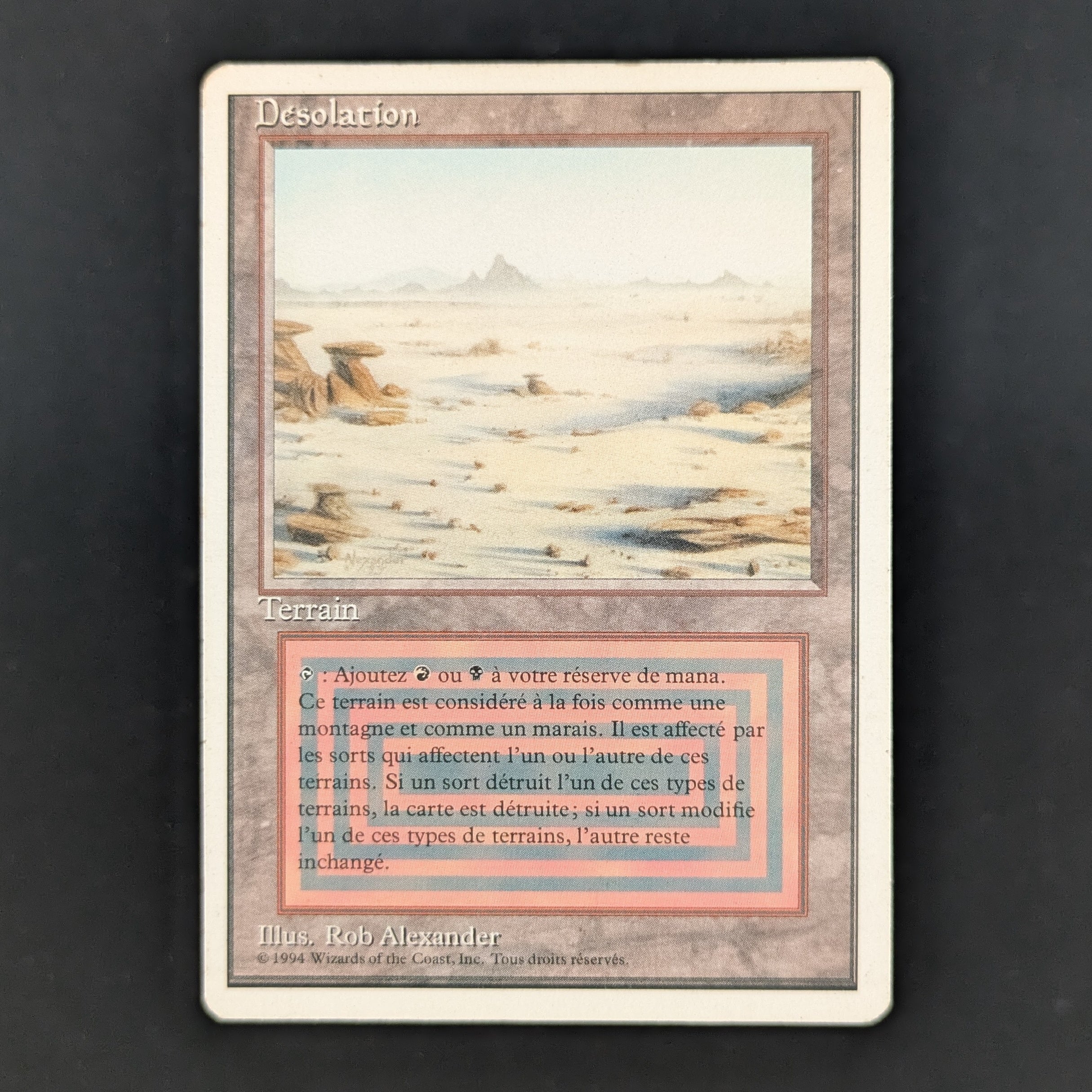 MTG Singles - Badlands - Foreign White Bordered - French - PL - 35219