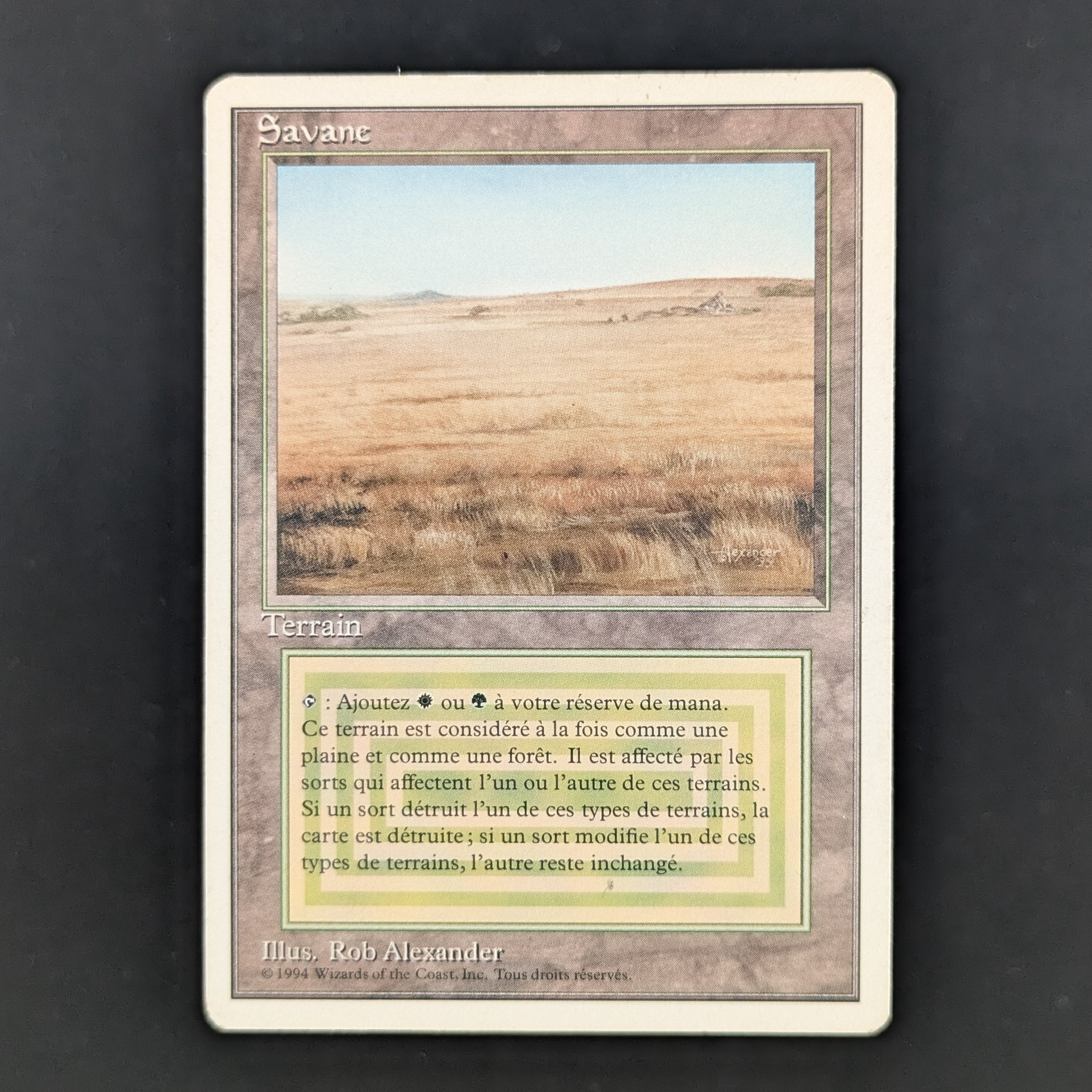 MTG Singles - Savannah - Foreign White Bordered - French - LP - 35233
