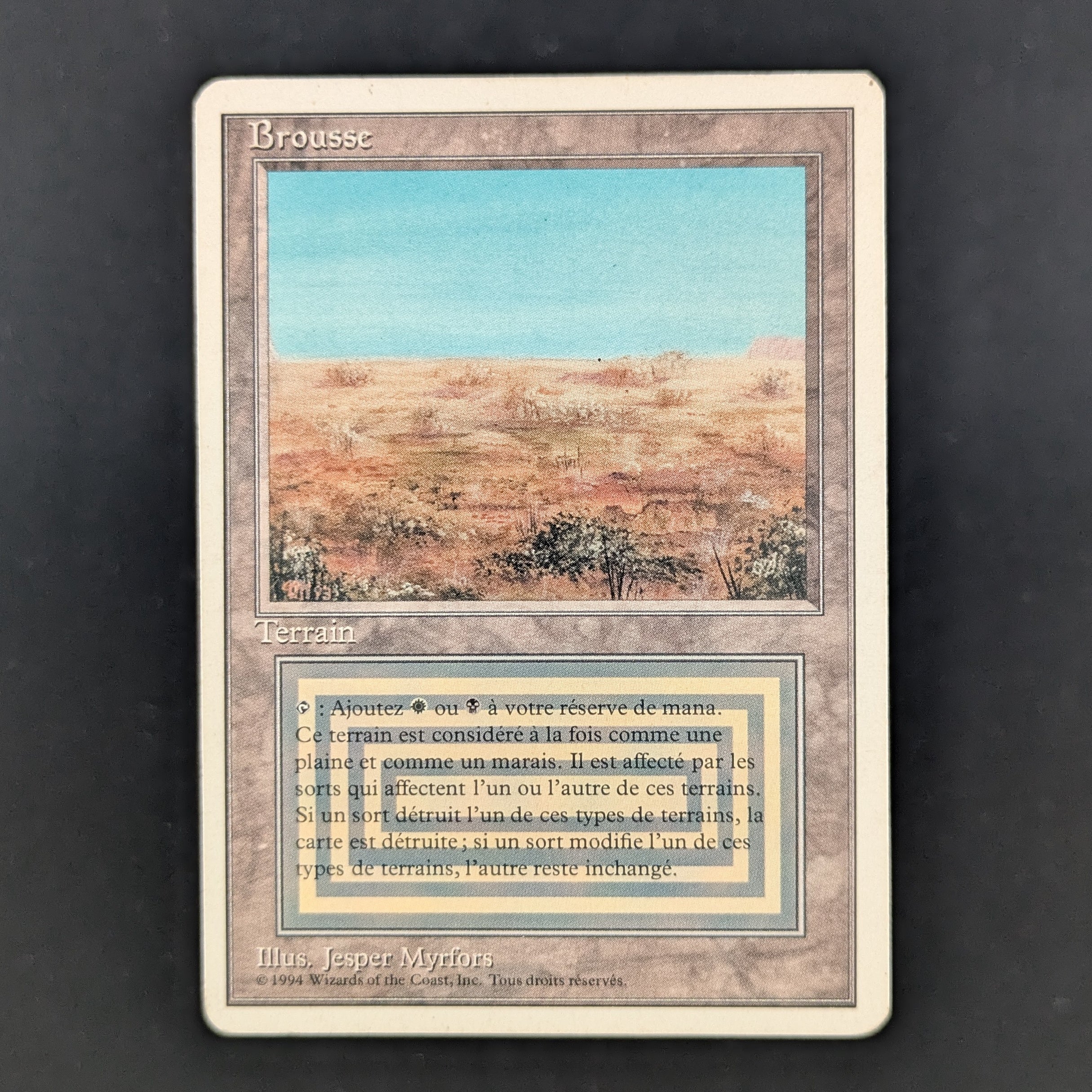 MTG Singles - Scrubland - Foreign White Bordered - French - PL - 35237