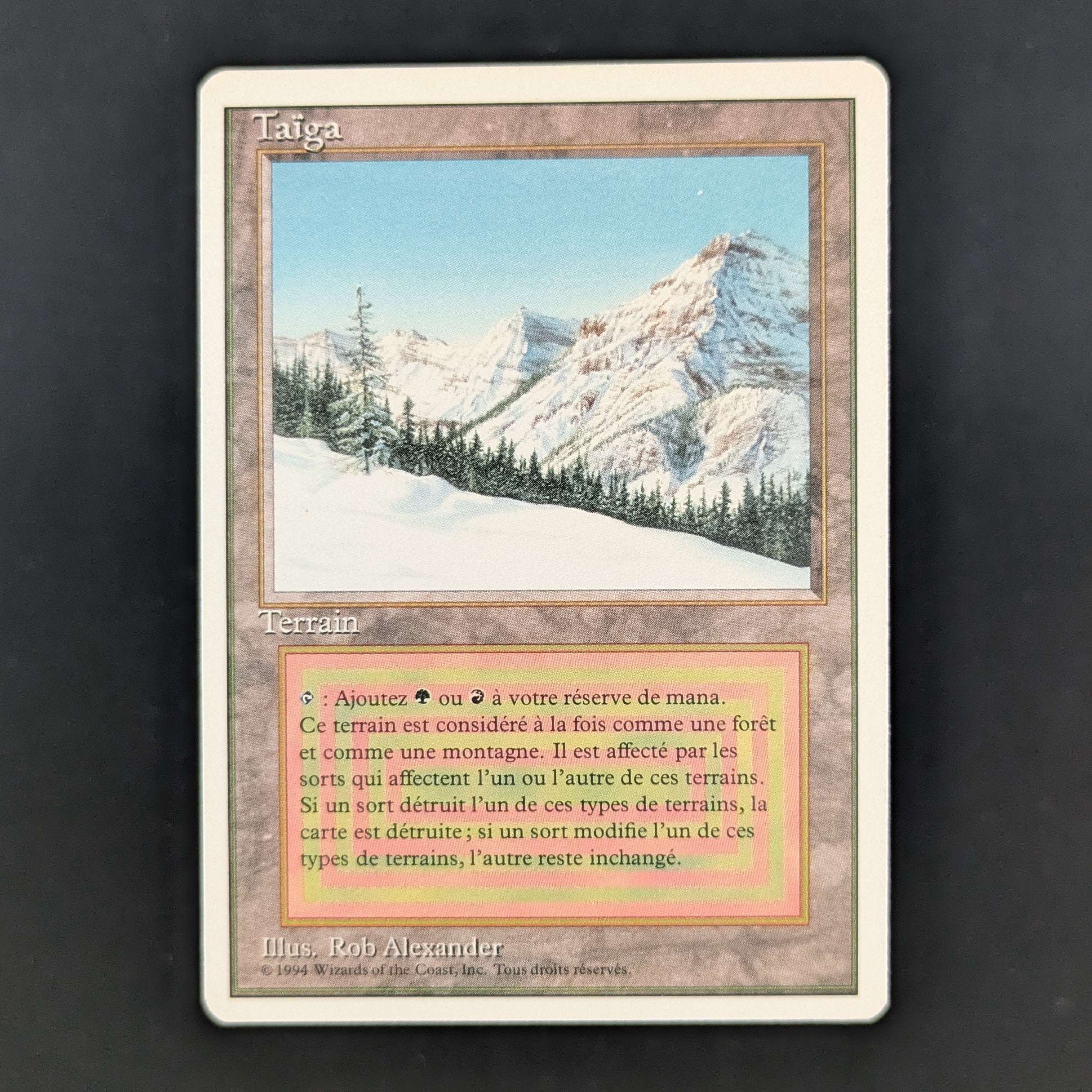 MTG Singles - Taiga - Foreign White Bordered - French - EX - 35238