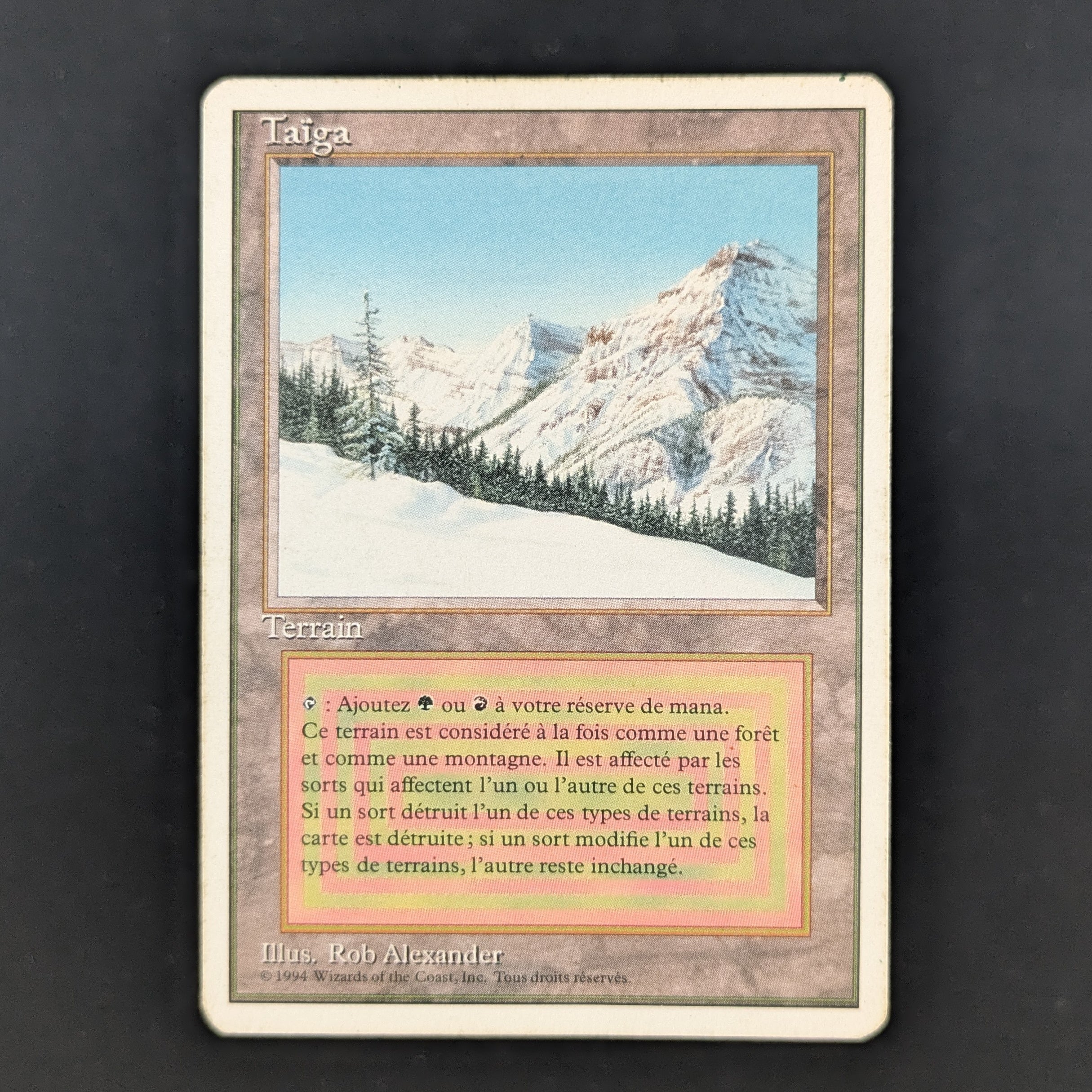 MTG Singles - Taiga - Foreign White Bordered - French - PL - 35239