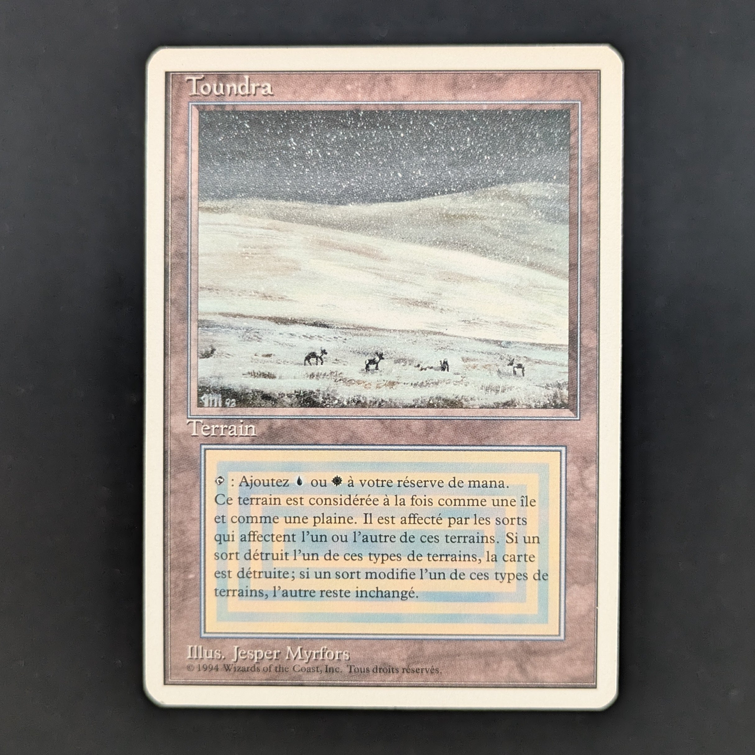 MTG Singles - Tundra - Foreign White Bordered - French - GD - 35245