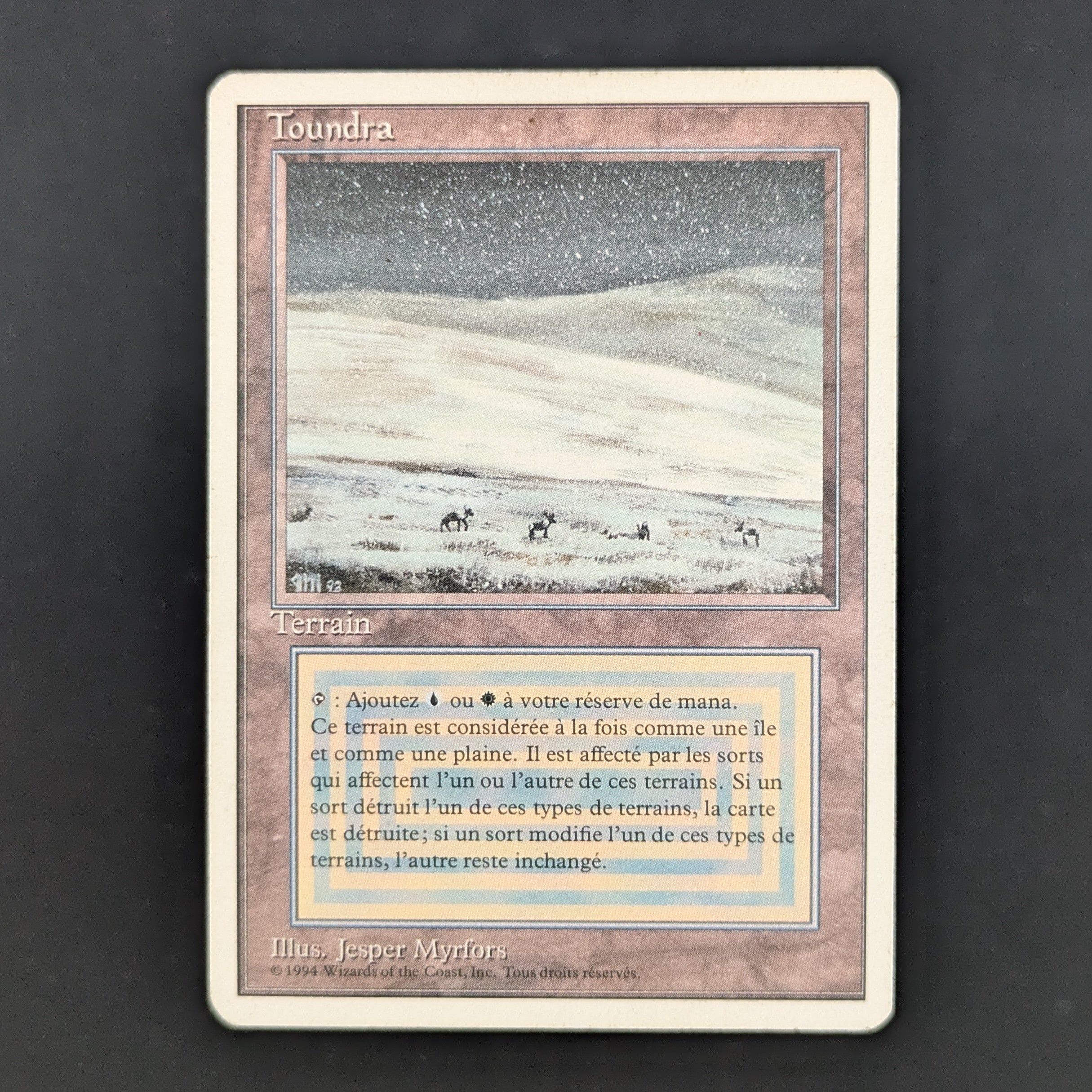 MTG Singles - Tundra - Foreign White Bordered - French - LP - 35246
