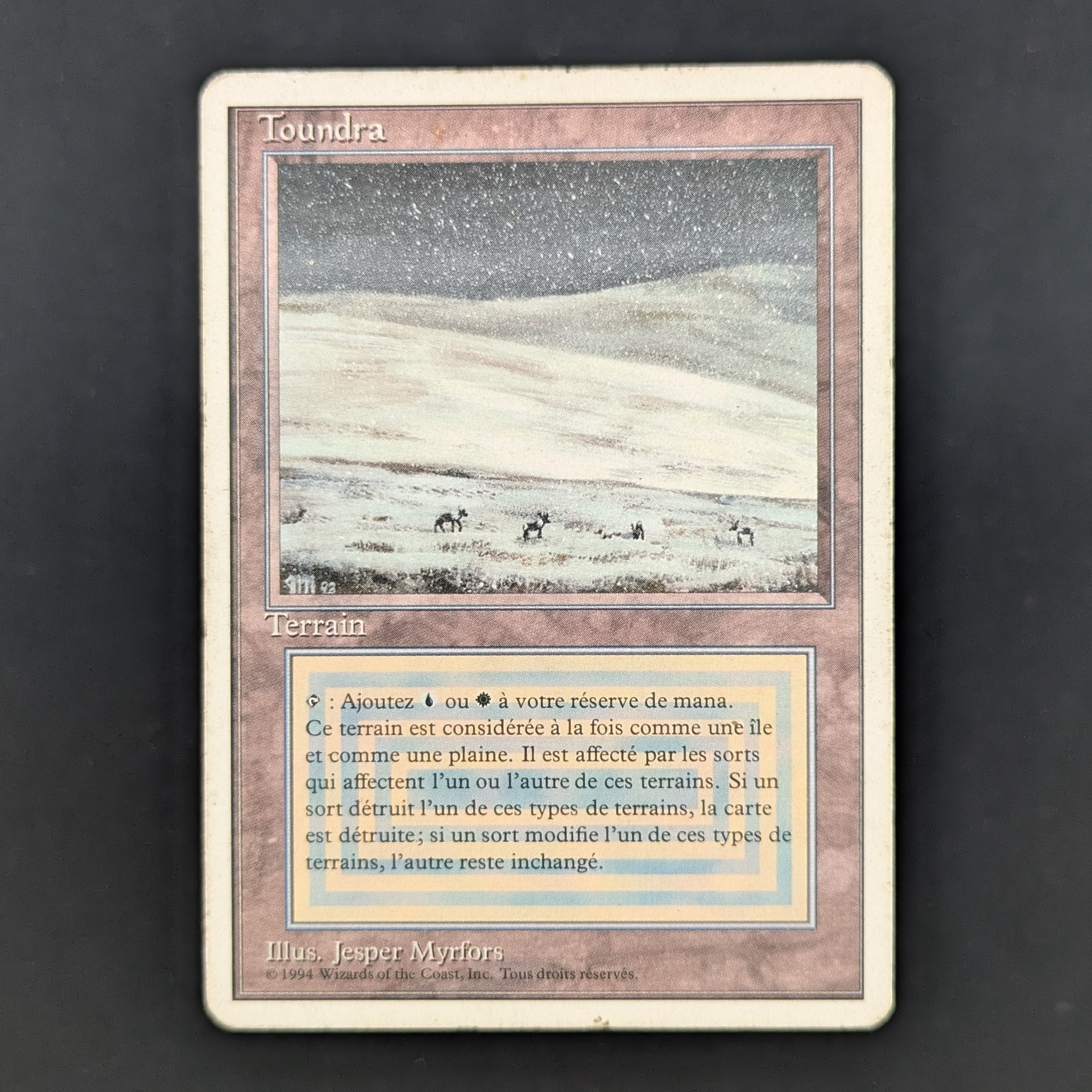 MTG Singles - Tundra - Foreign White Bordered - French - PL - 35249