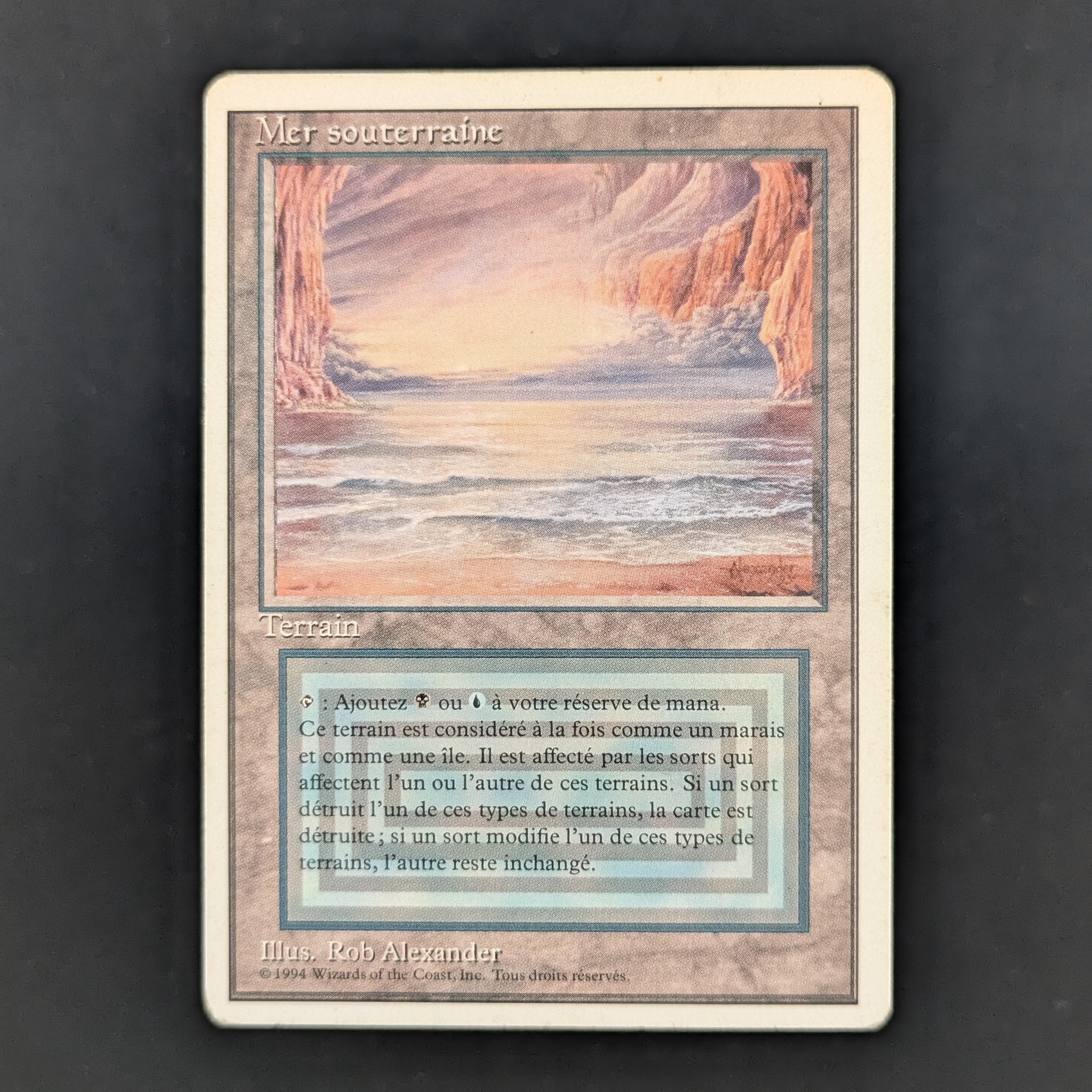 MTG Singles - Underground Sea - Foreign White Bordered - French - PL - 35252