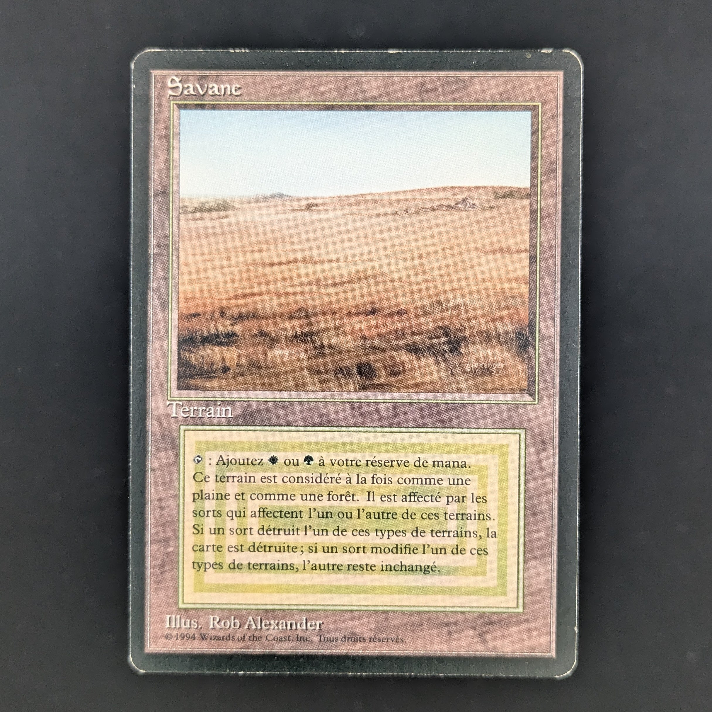 MTG Singles - Savannah - Foreign Black Bordered - French - GD - 35272