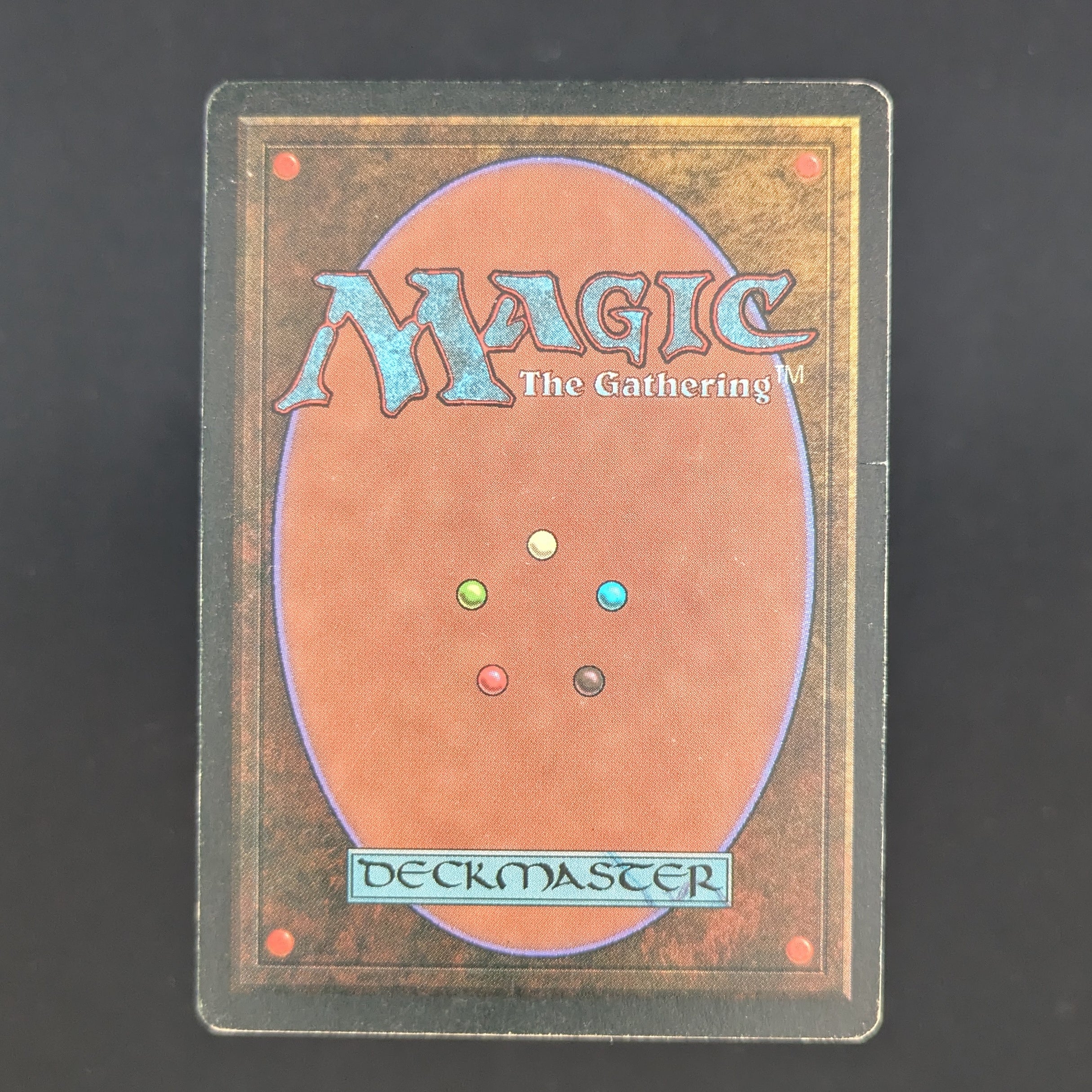 MTG Singles - Savannah - Foreign Black Bordered -