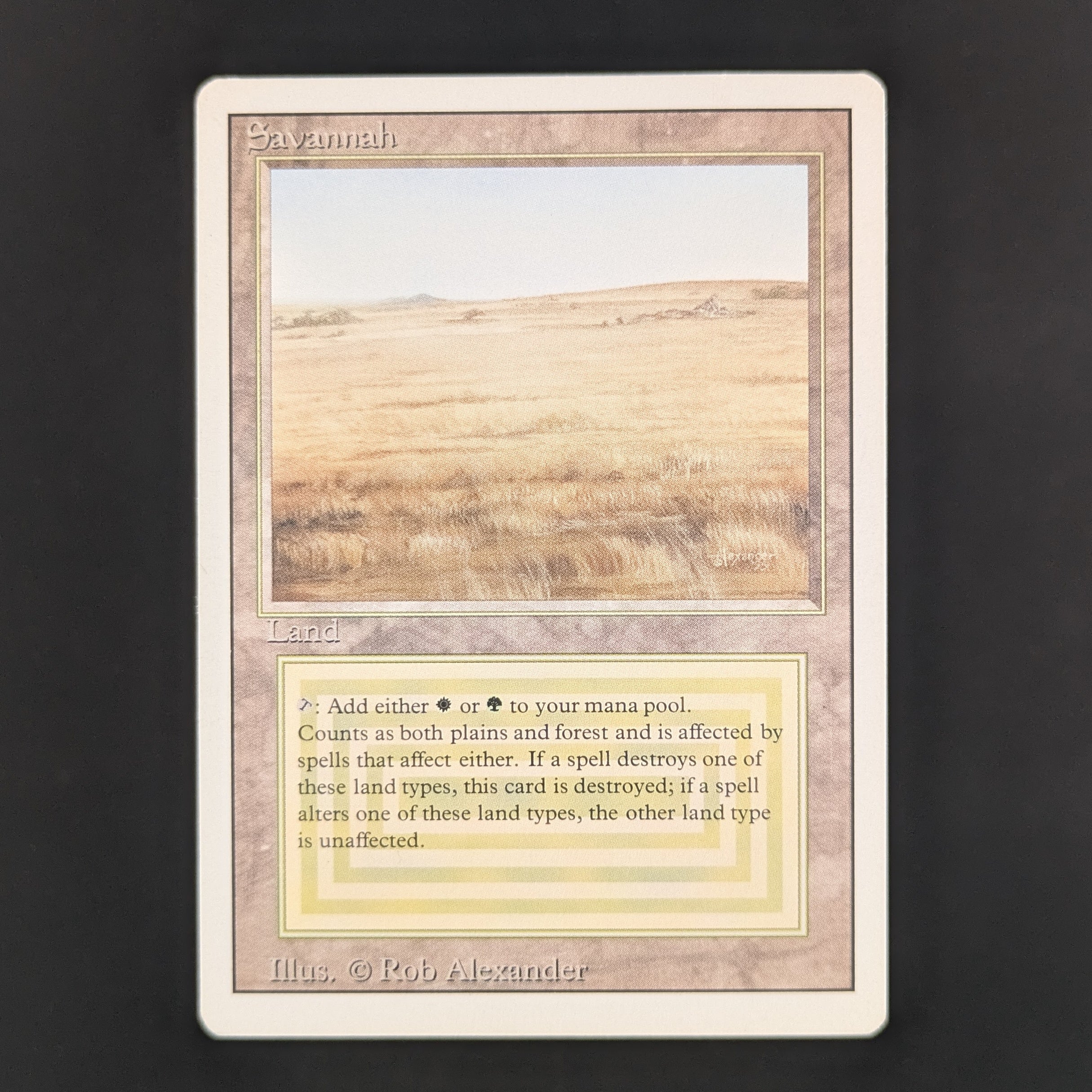 MTG Singles - Savannah - Revised - GD - 35542