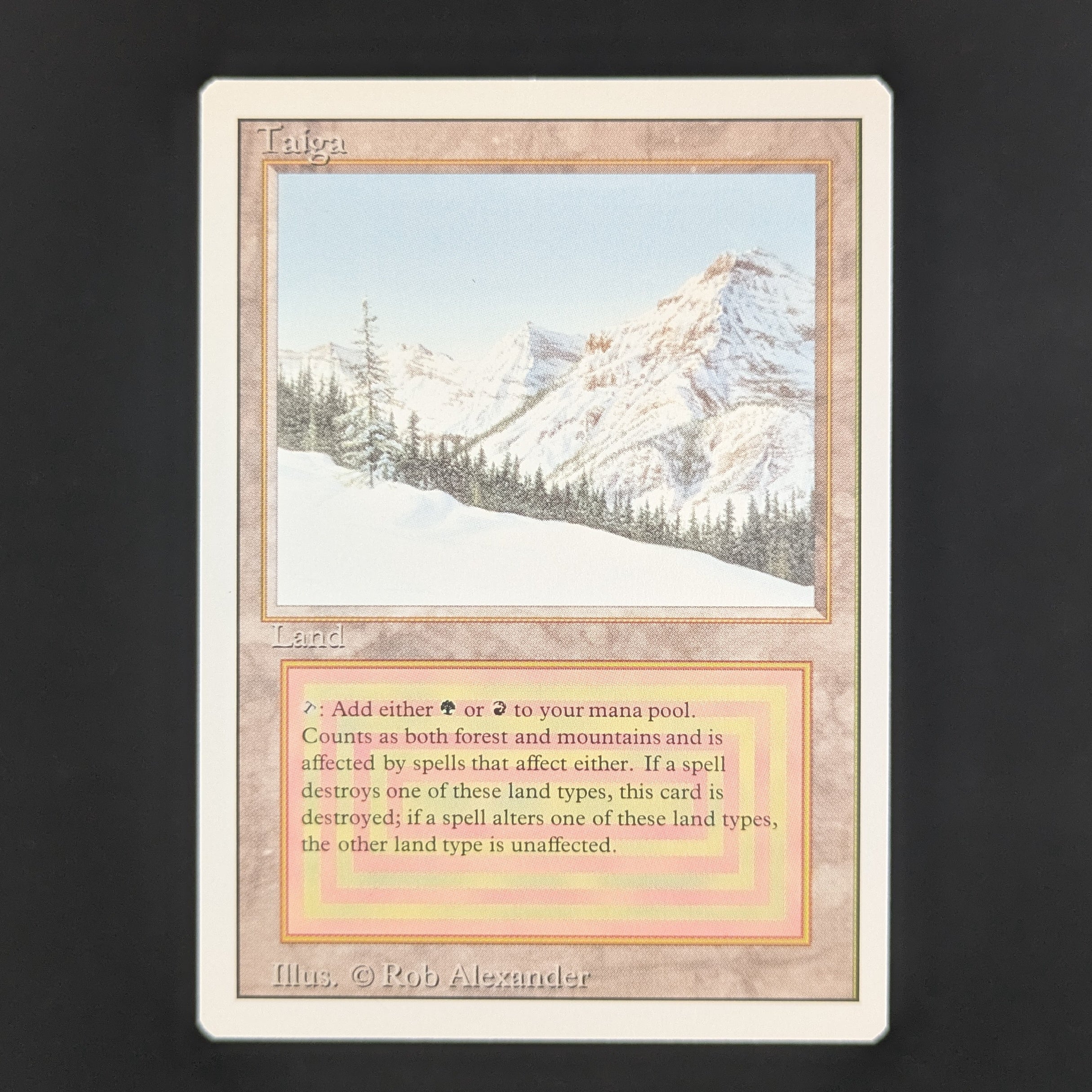 MTG Singles - Taiga - Revised - NM - 35551
